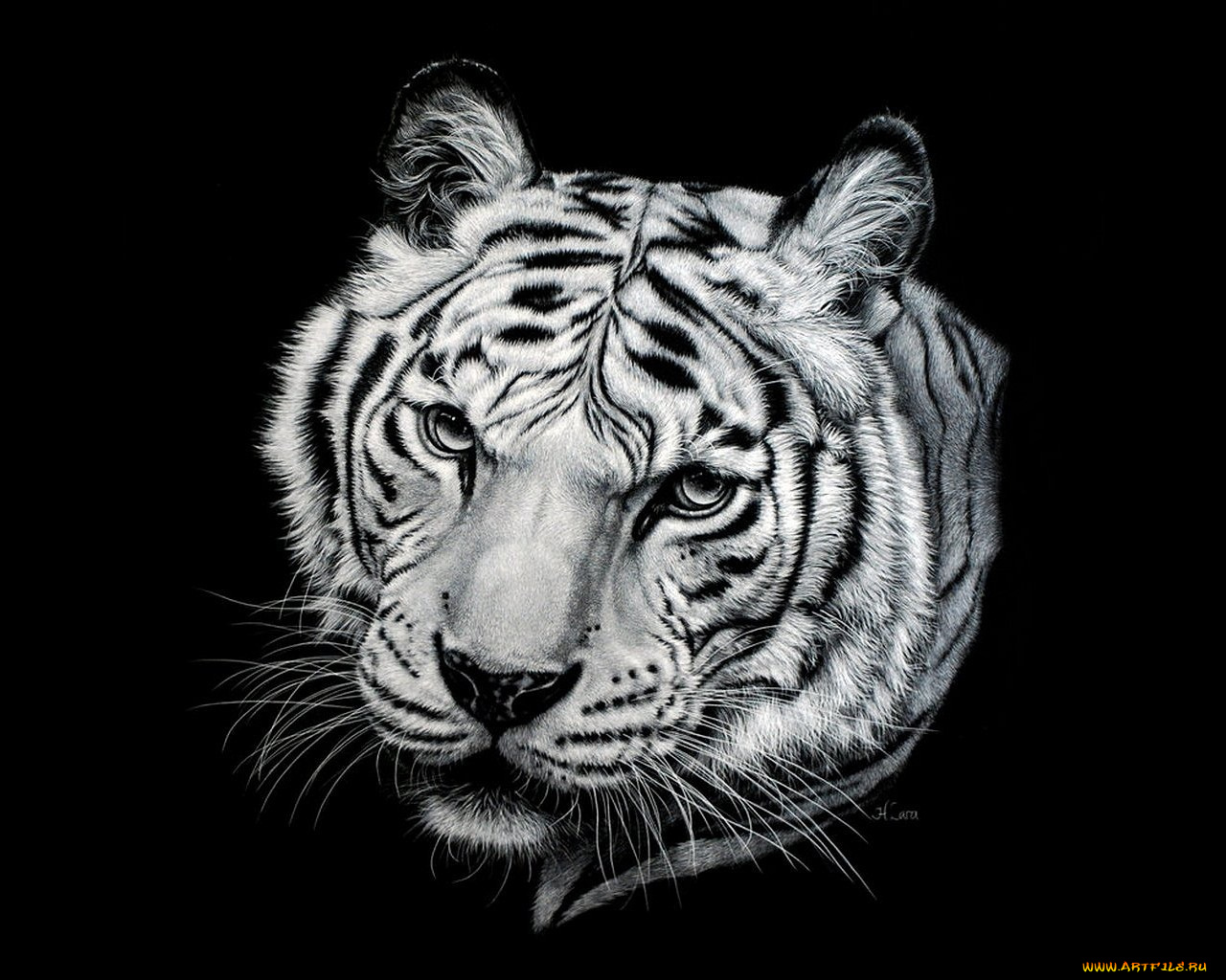 рисованные, животные