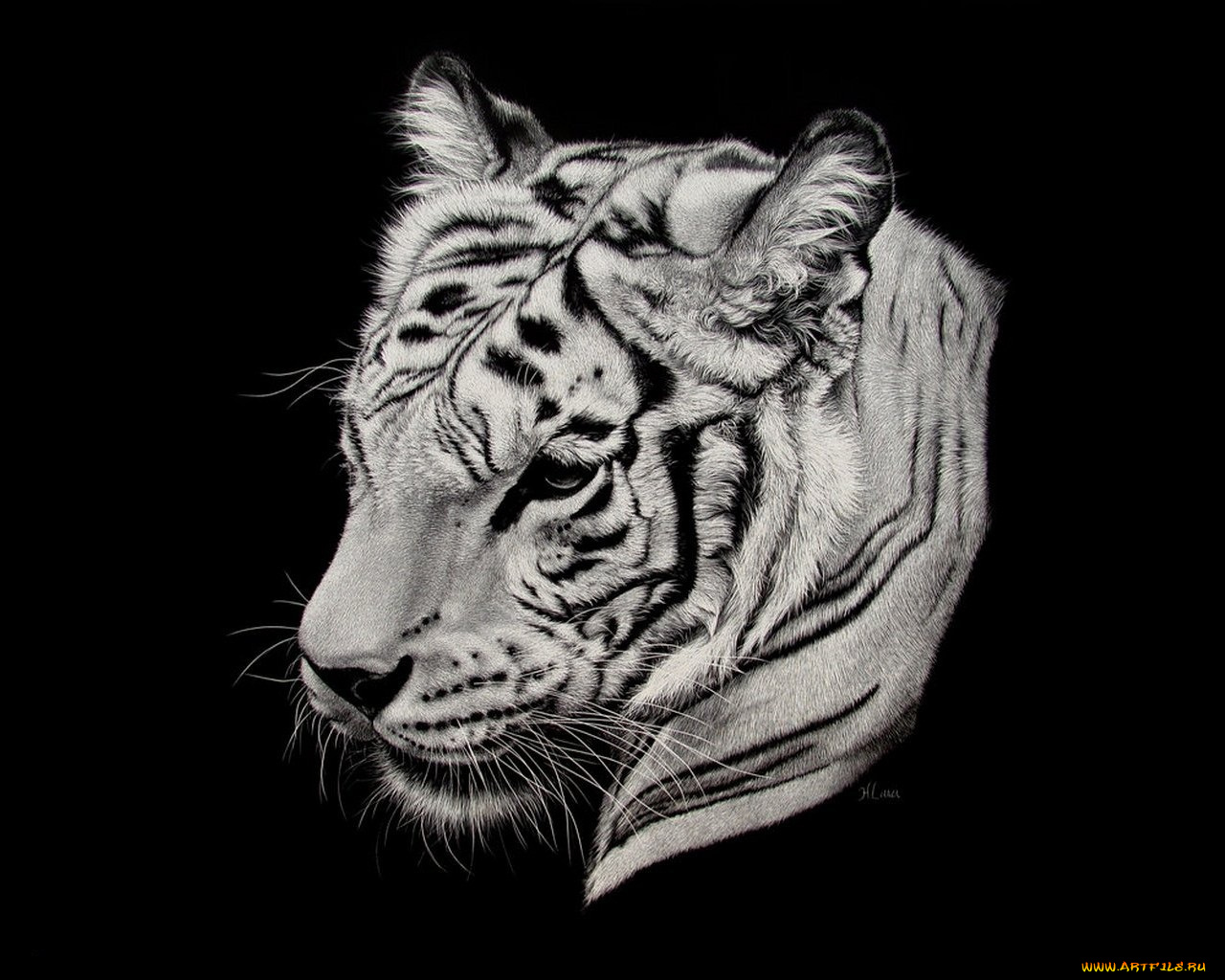 рисованные, животные