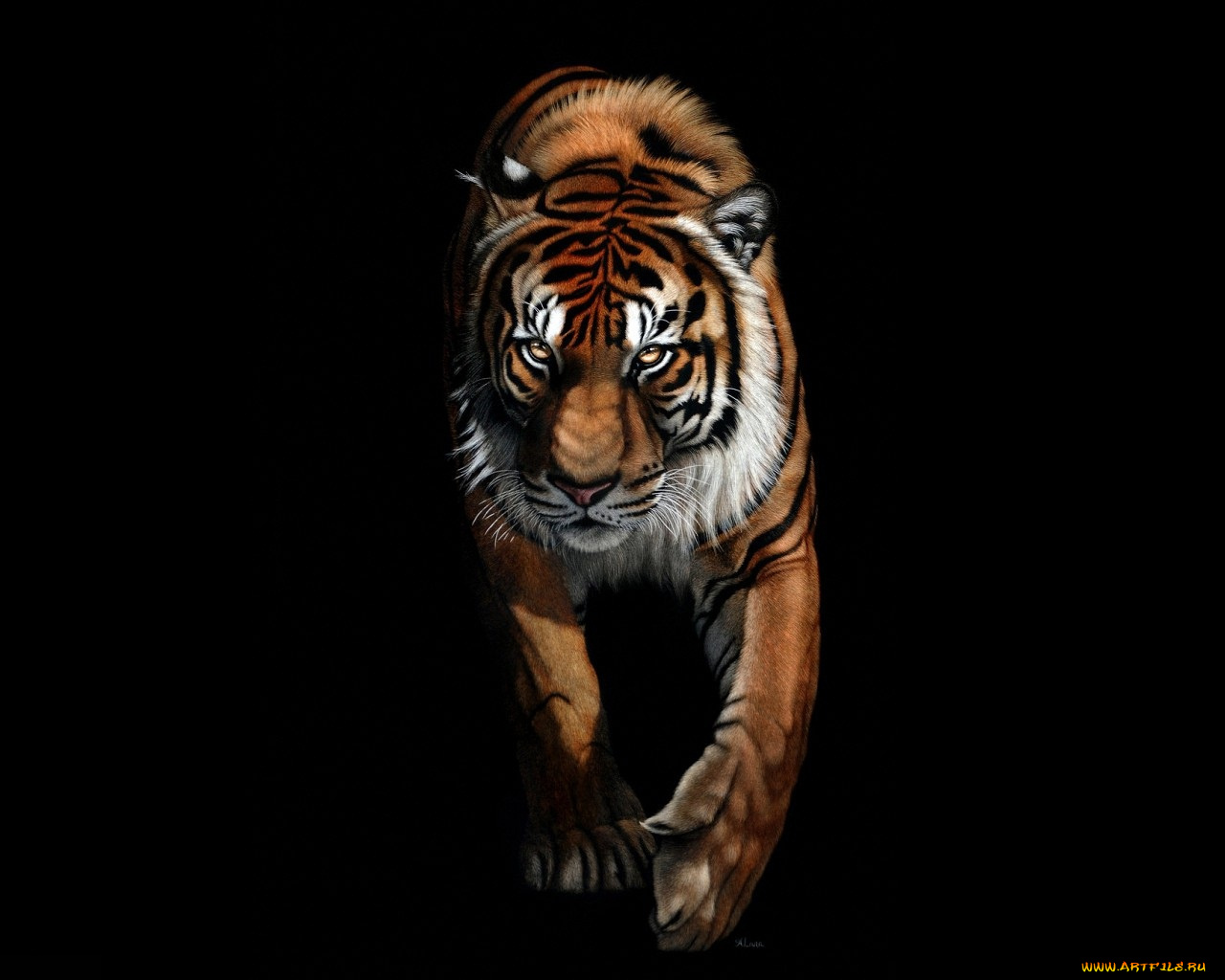 рисованные, животные