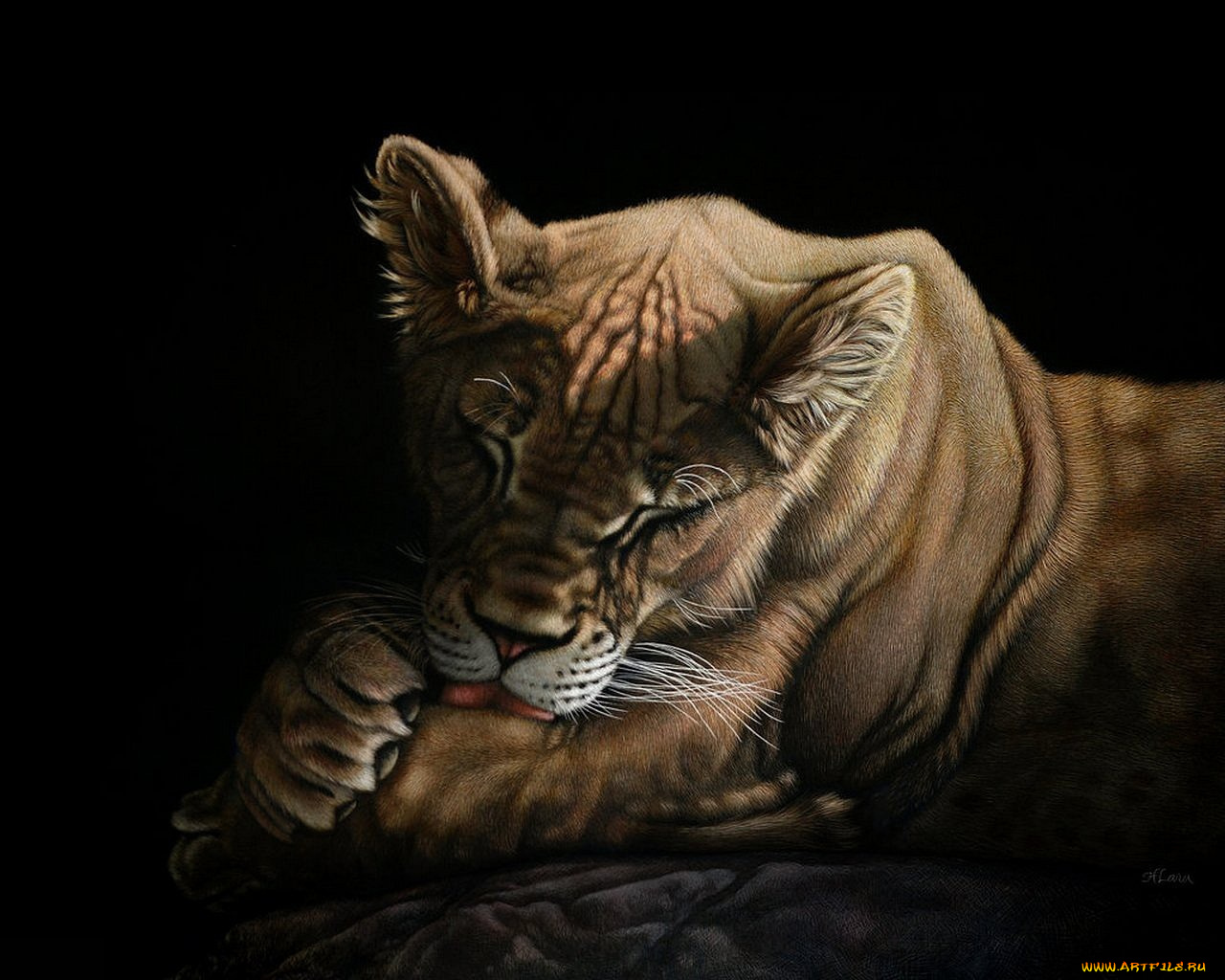 рисованные, животные