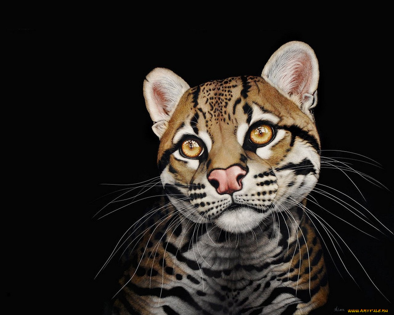 рисованные, животные