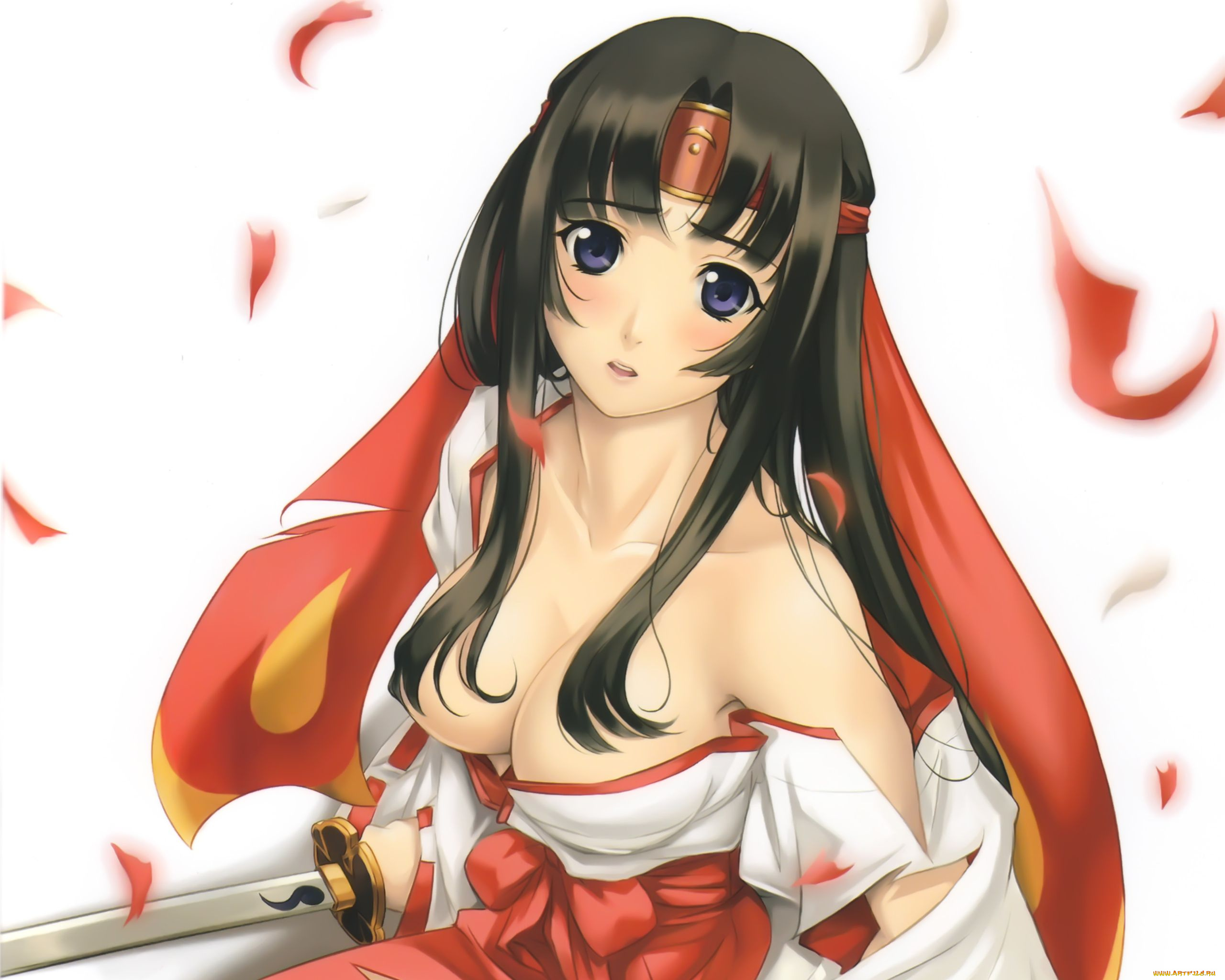 queen`s, blade, аниме