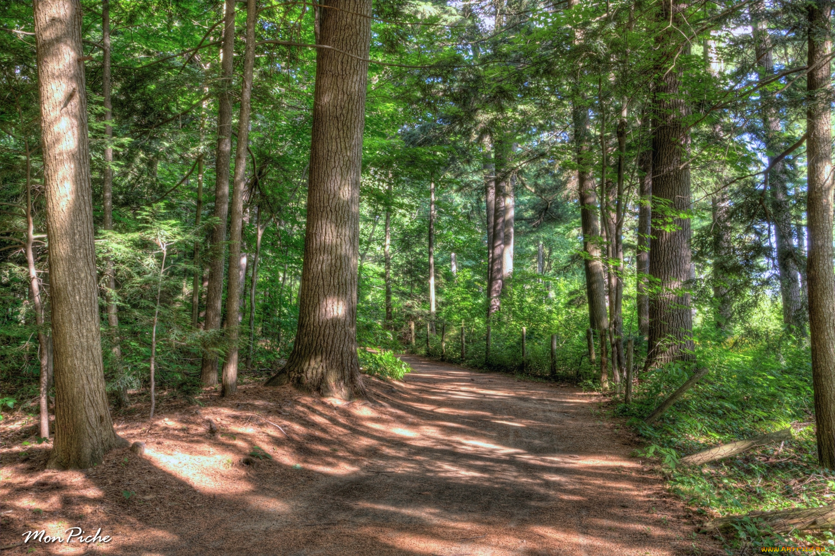 природа, дороги, квебек