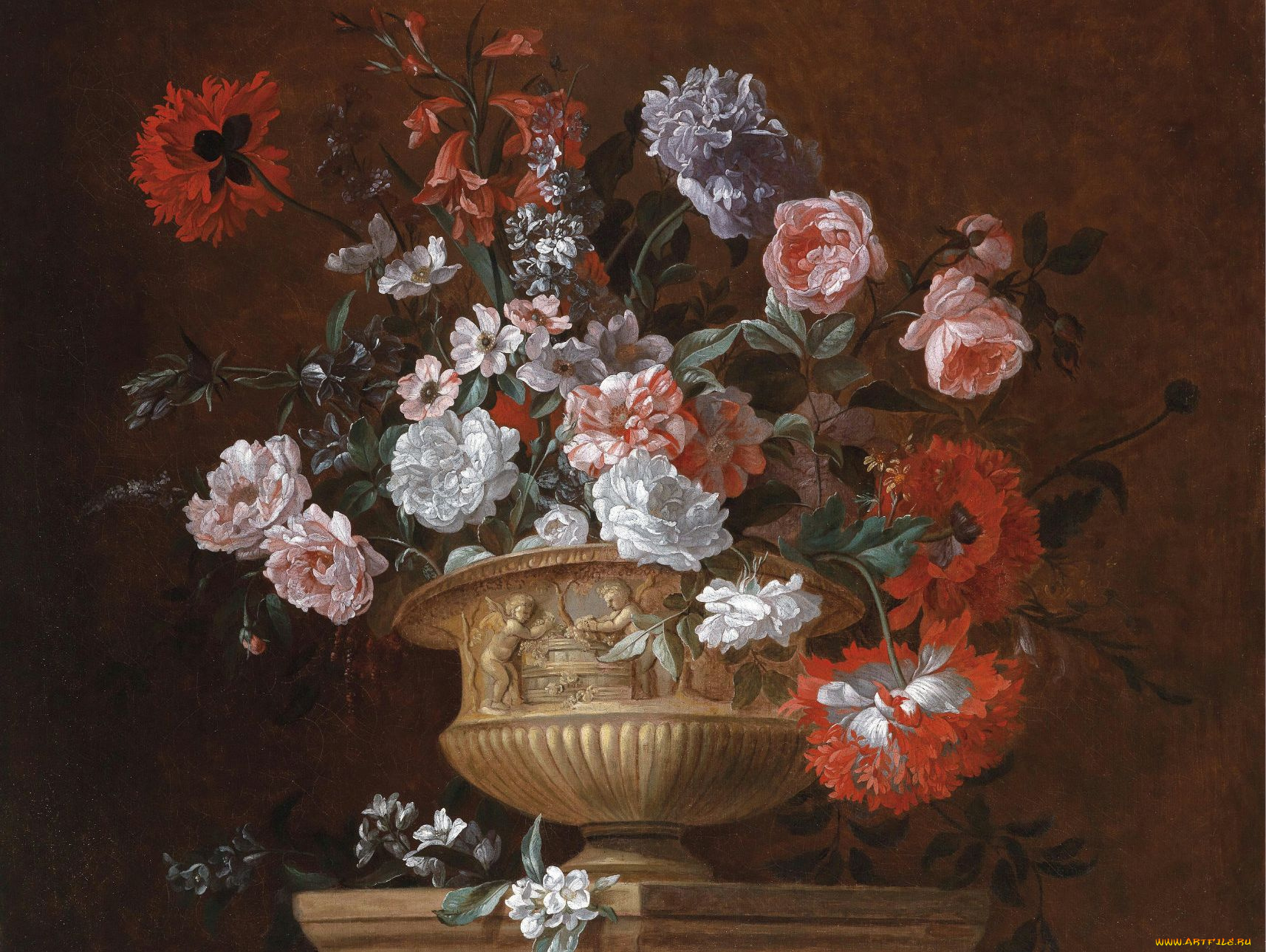 simon, pietersz, рисованные, хризантема