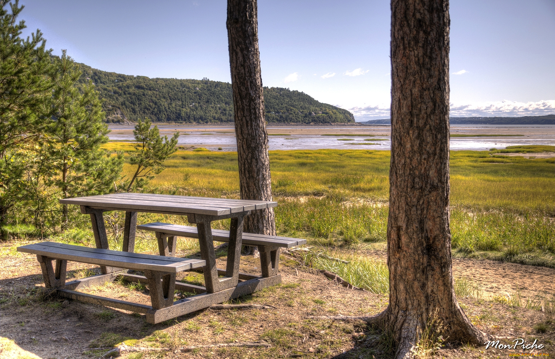 природа, деревья, квебек