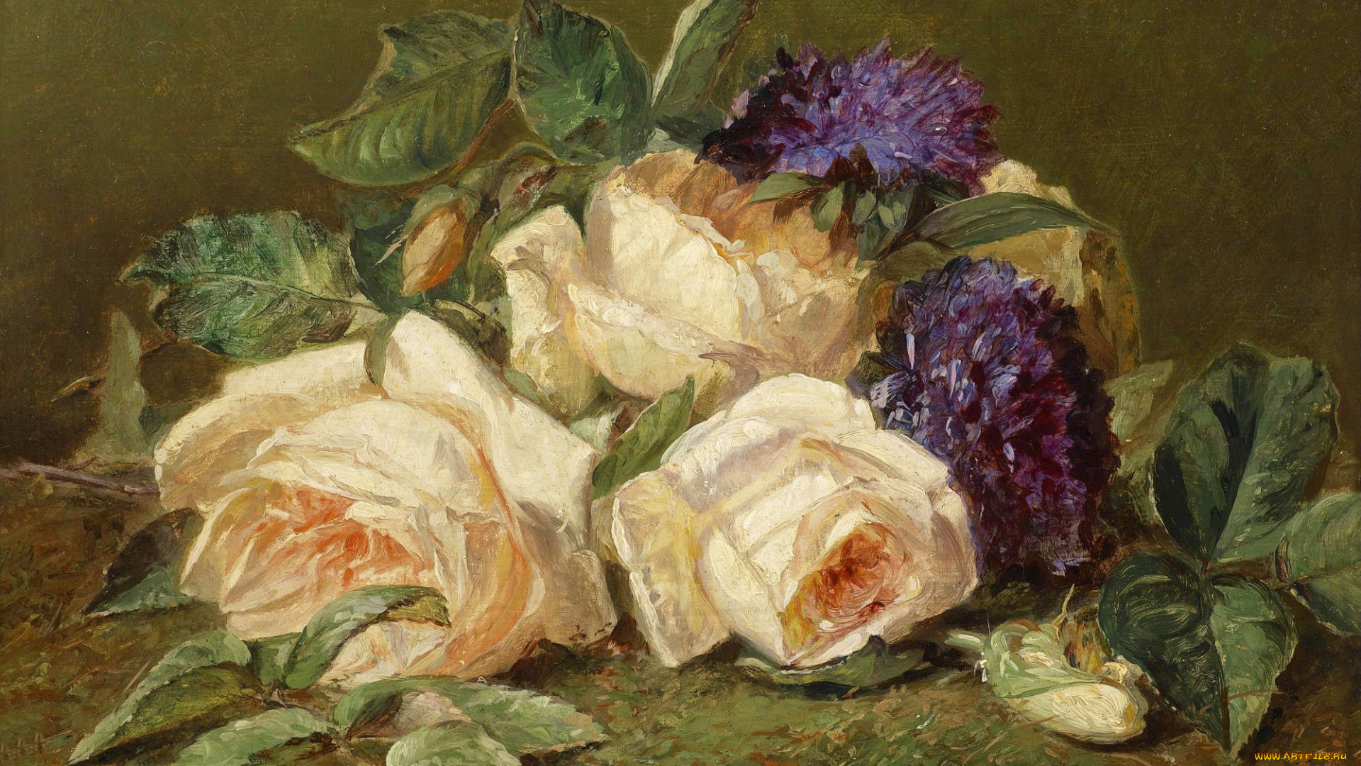 adriana, johanna, van, haanen, рисованные, роза