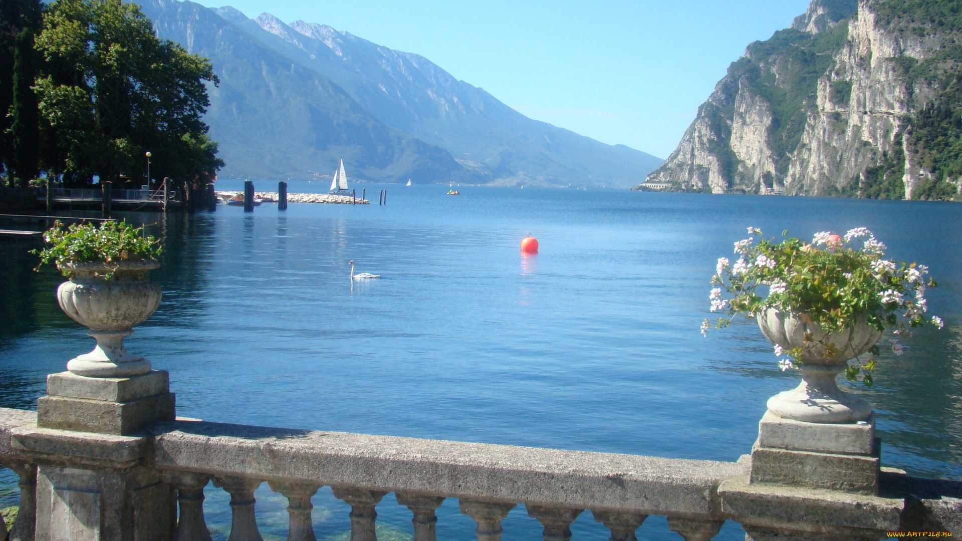 озеро, гарда, италия, природа, реки, озера, лебедь, горы