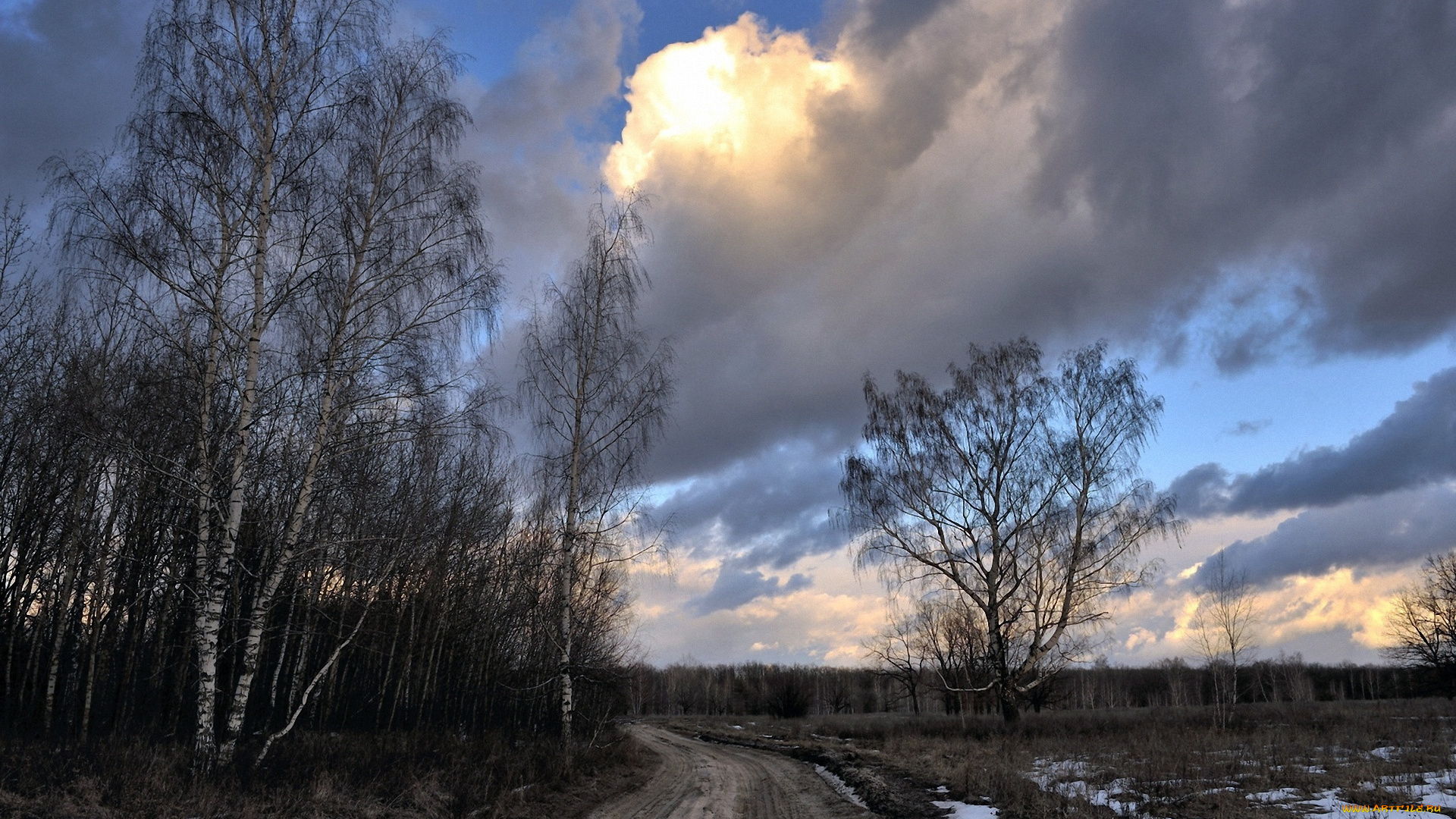 природа, дороги, весна