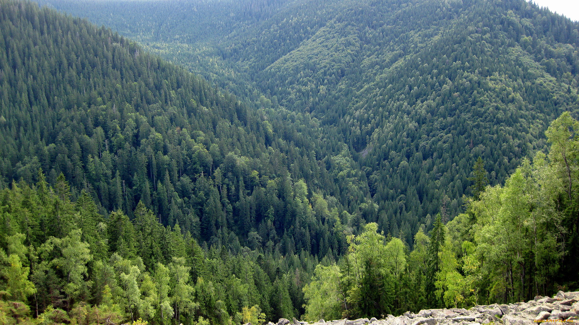 природа, горы, украина, закарпатье