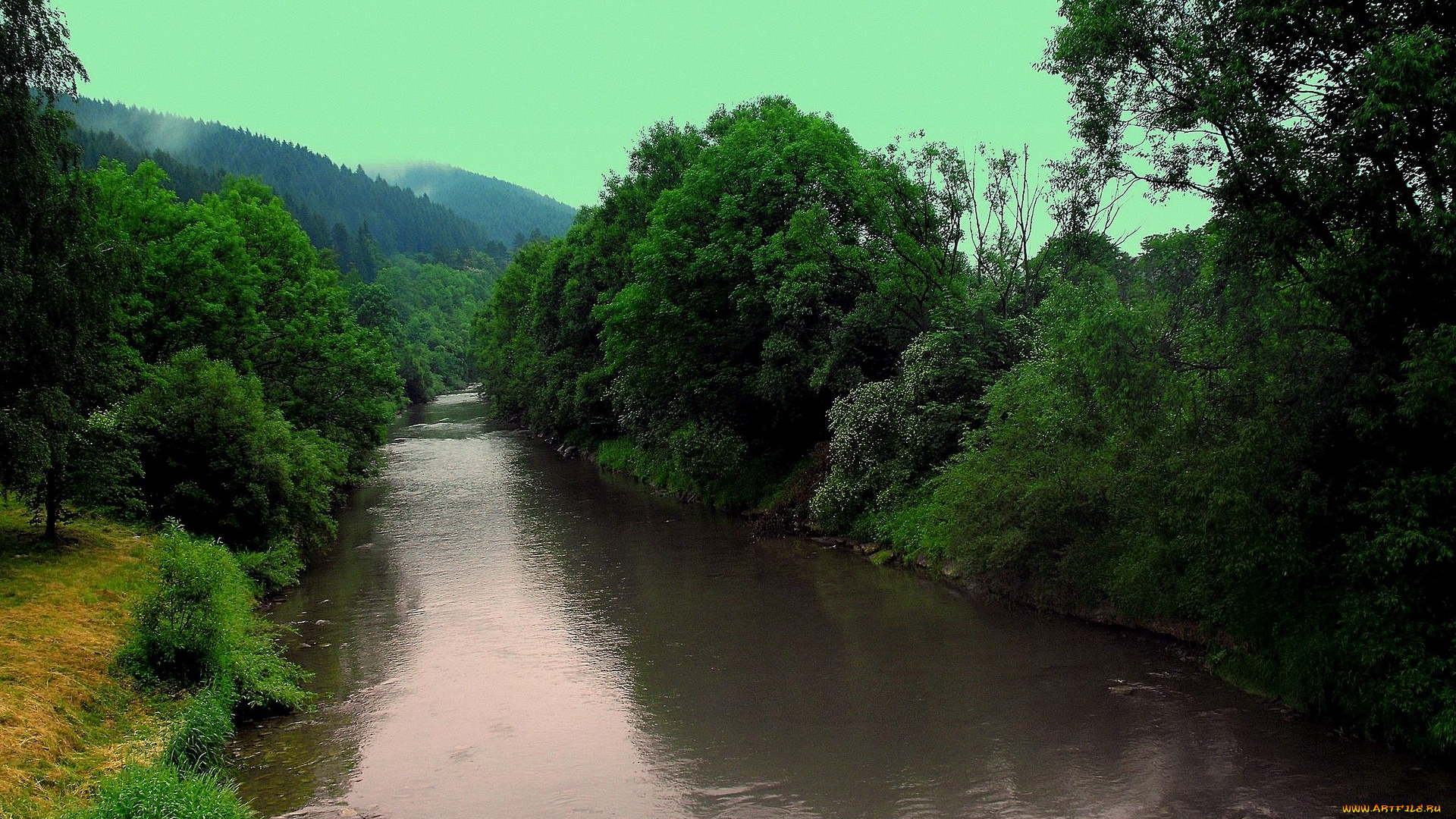 природа, реки, озера, деревья, берега, река