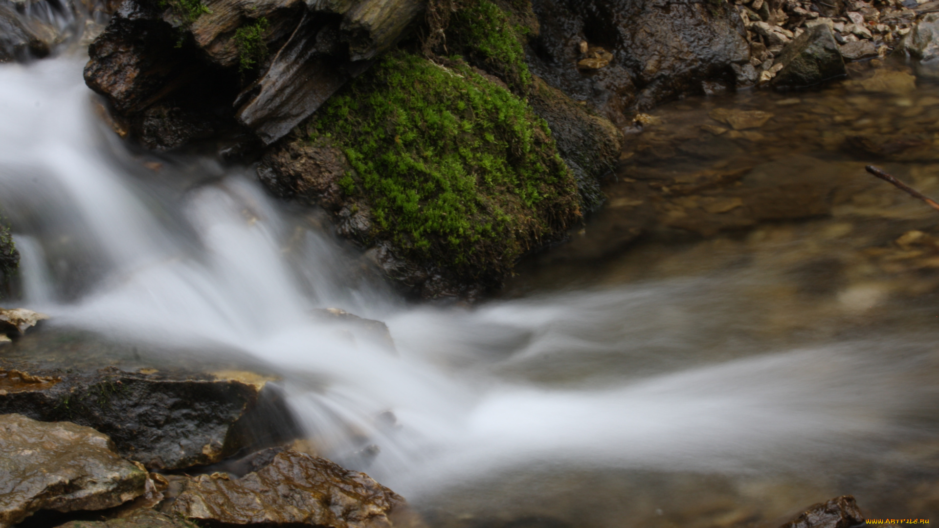 природа, реки, озера, река