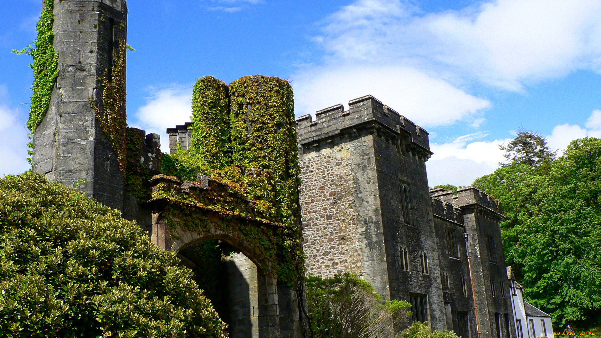 scotland, armadale, castle, города, дворцы, замки, крепости, башни, ворота, плющ