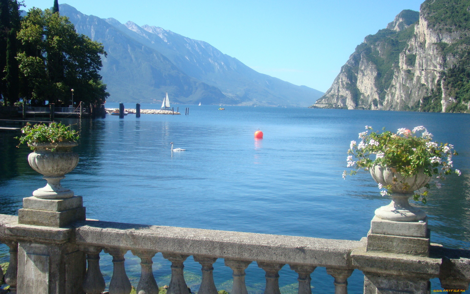 озеро, гарда, италия, природа, реки, озера, лебедь, горы