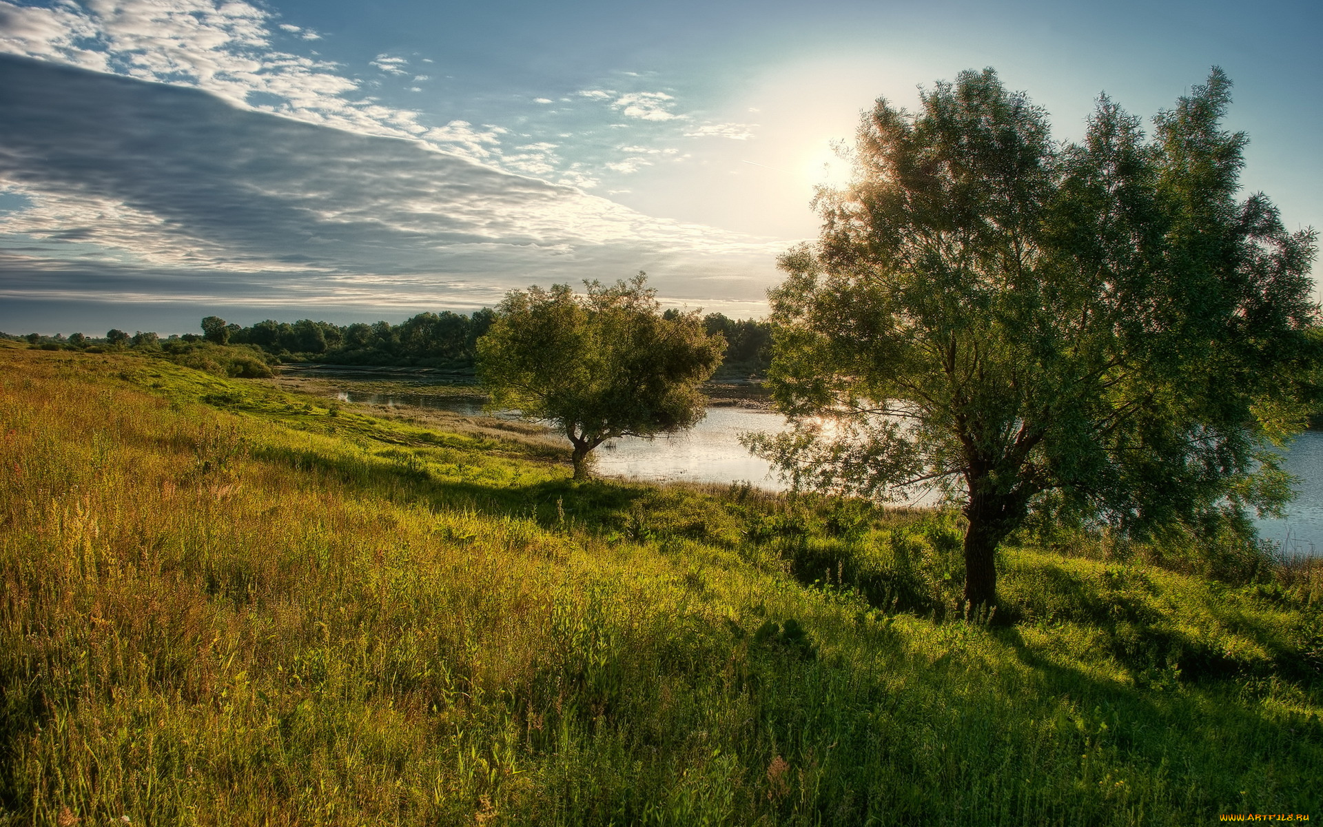 природа, деревья, лето, река
