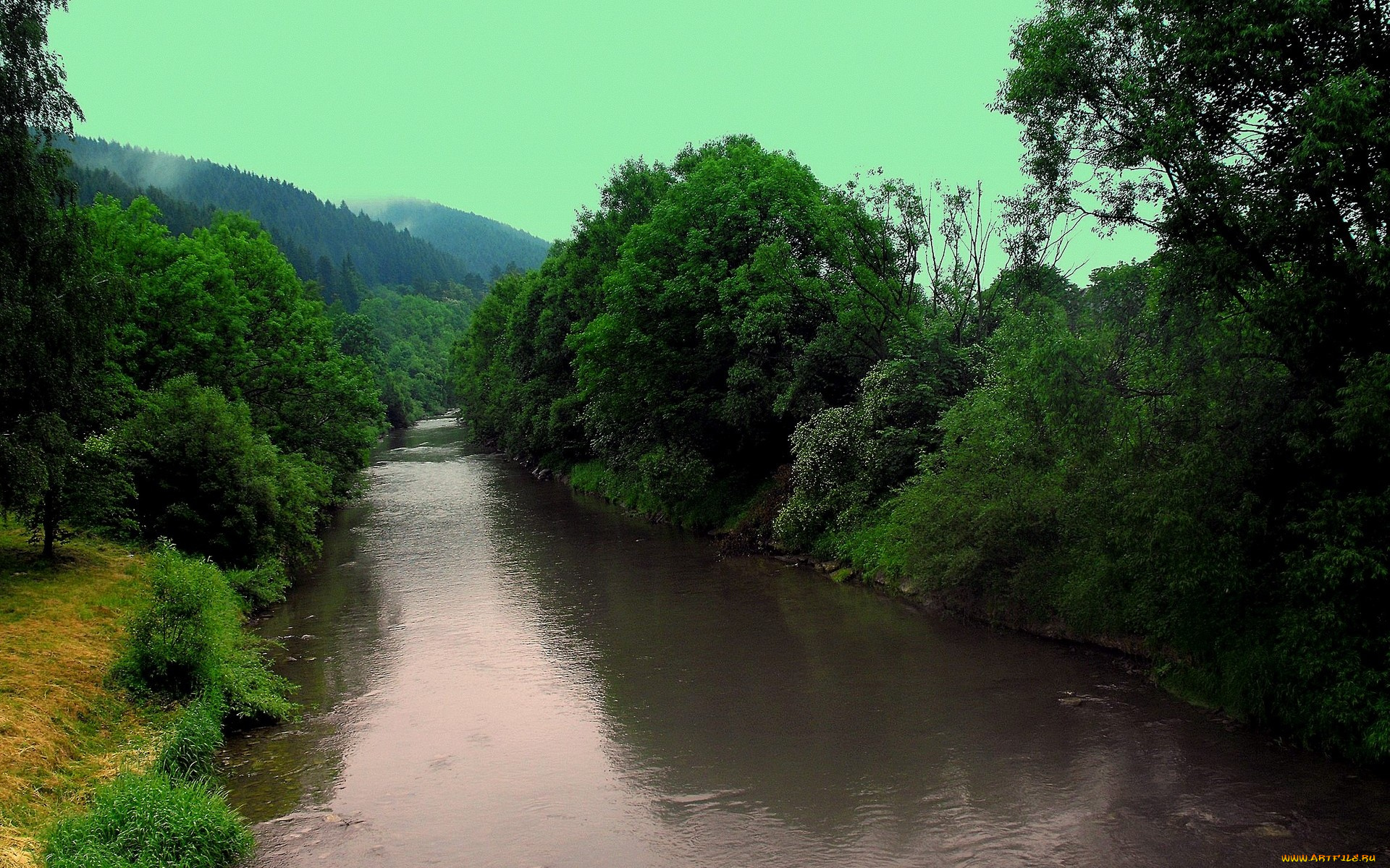 природа, реки, озера, деревья, берега, река
