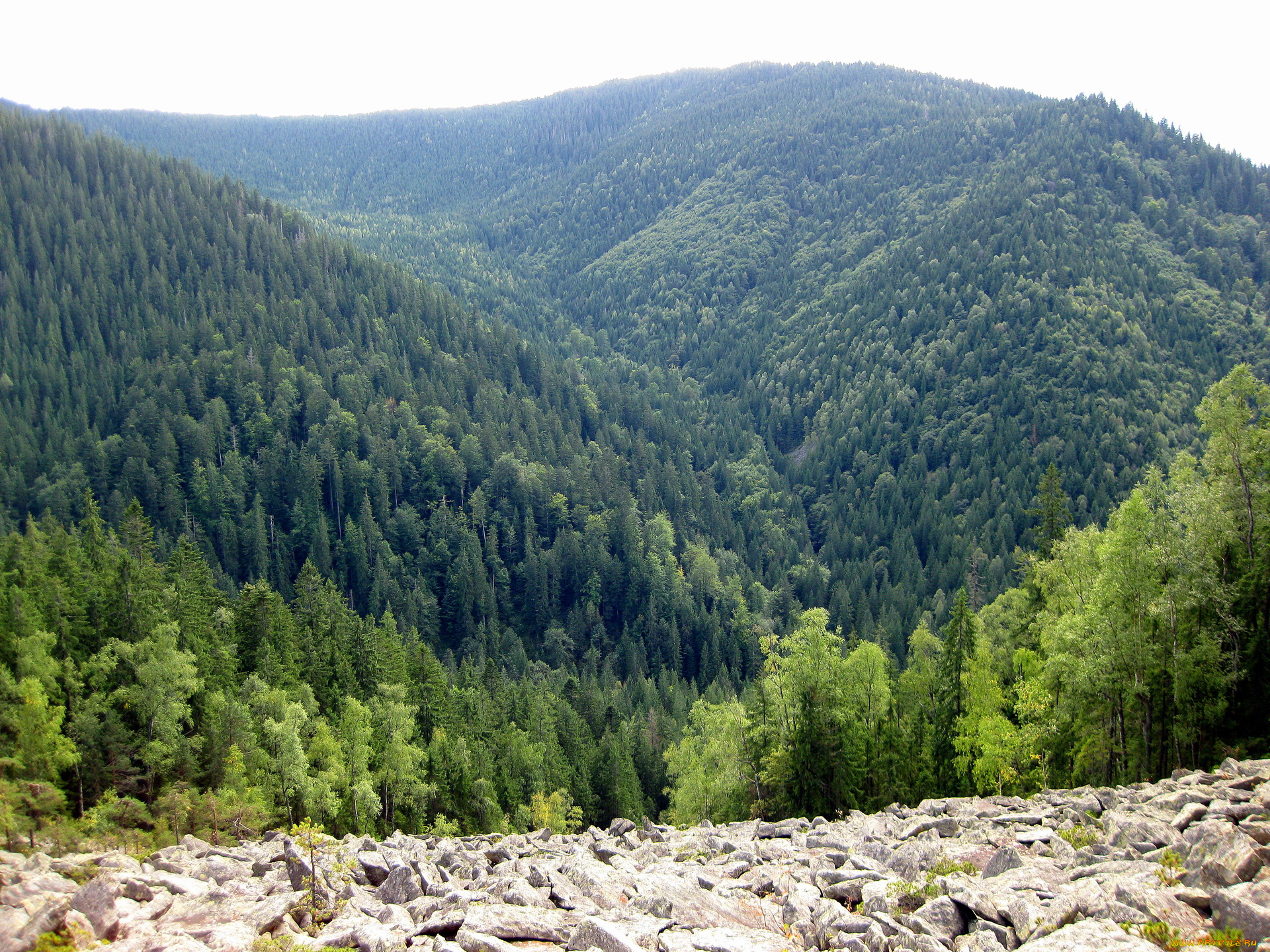 природа, горы, украина, закарпатье