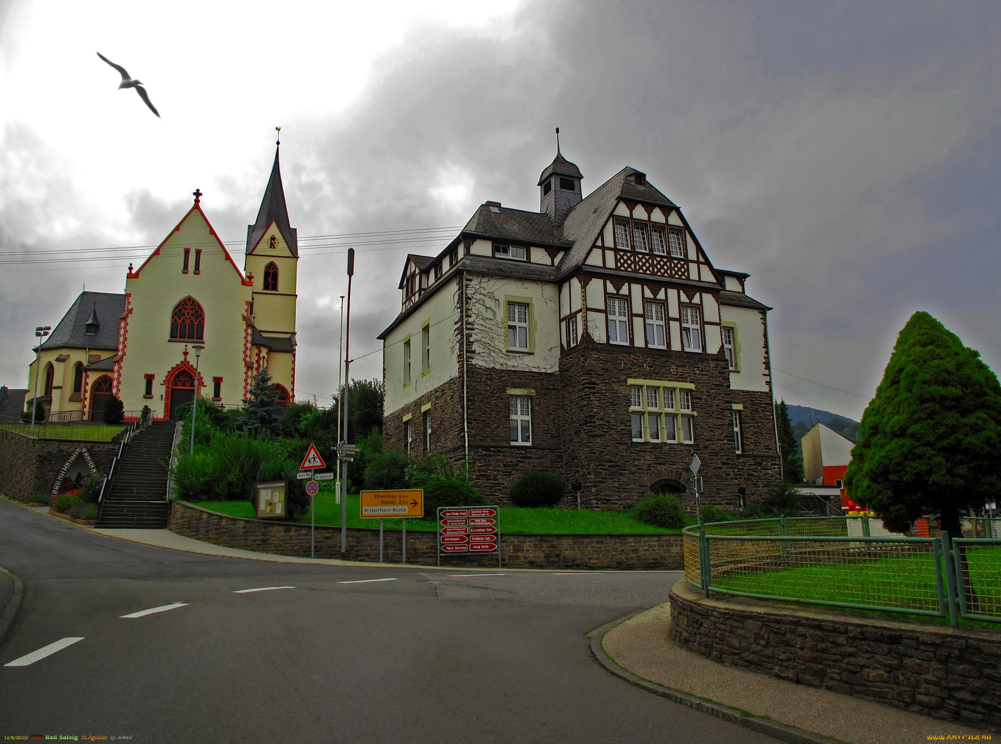 города, улицы, площади, набережные, улица, птица, дома