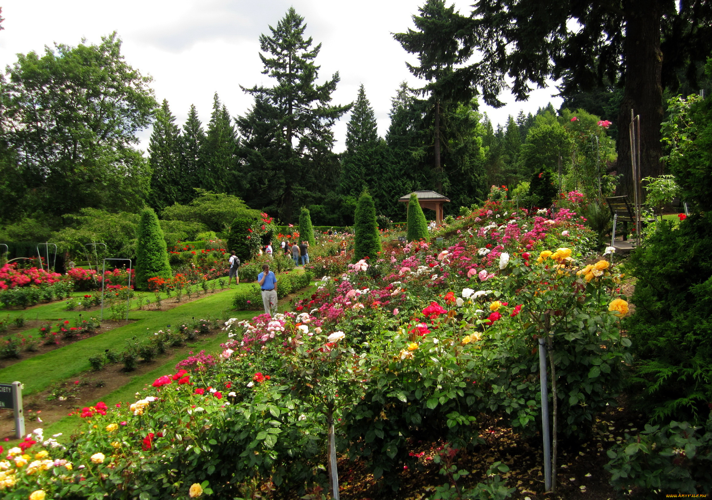 природа, парк, деревья, клумбы, цветы