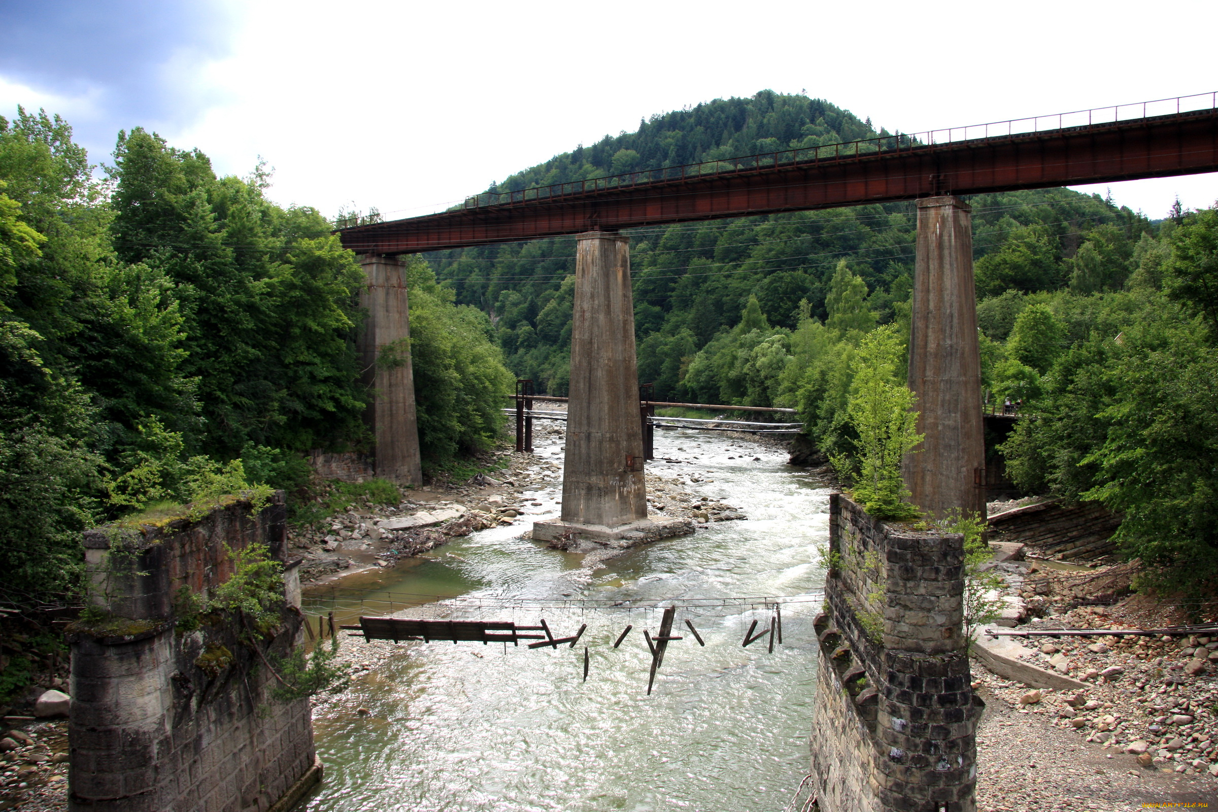 природа, реки, озера, река