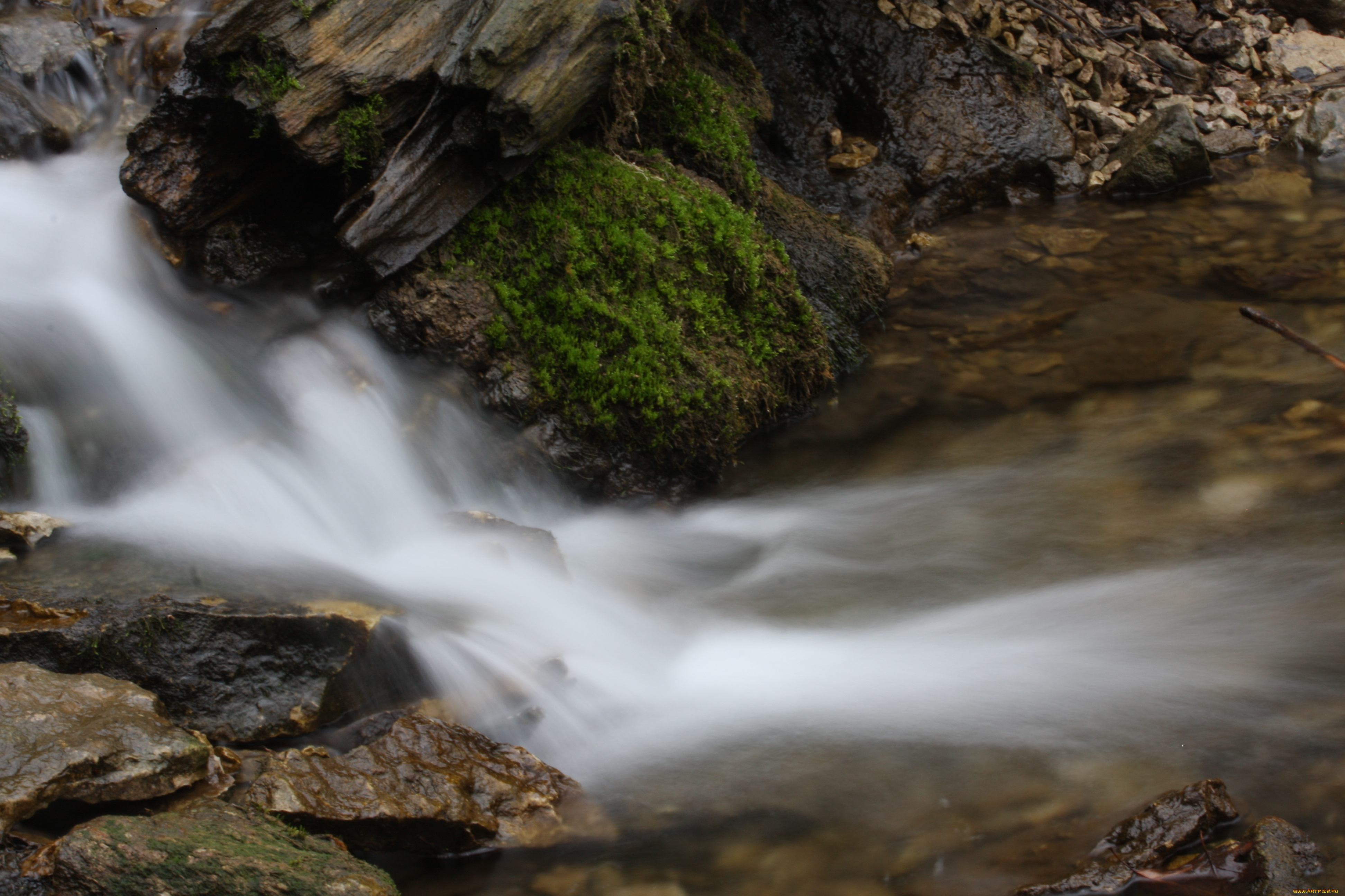 природа, реки, озера, река