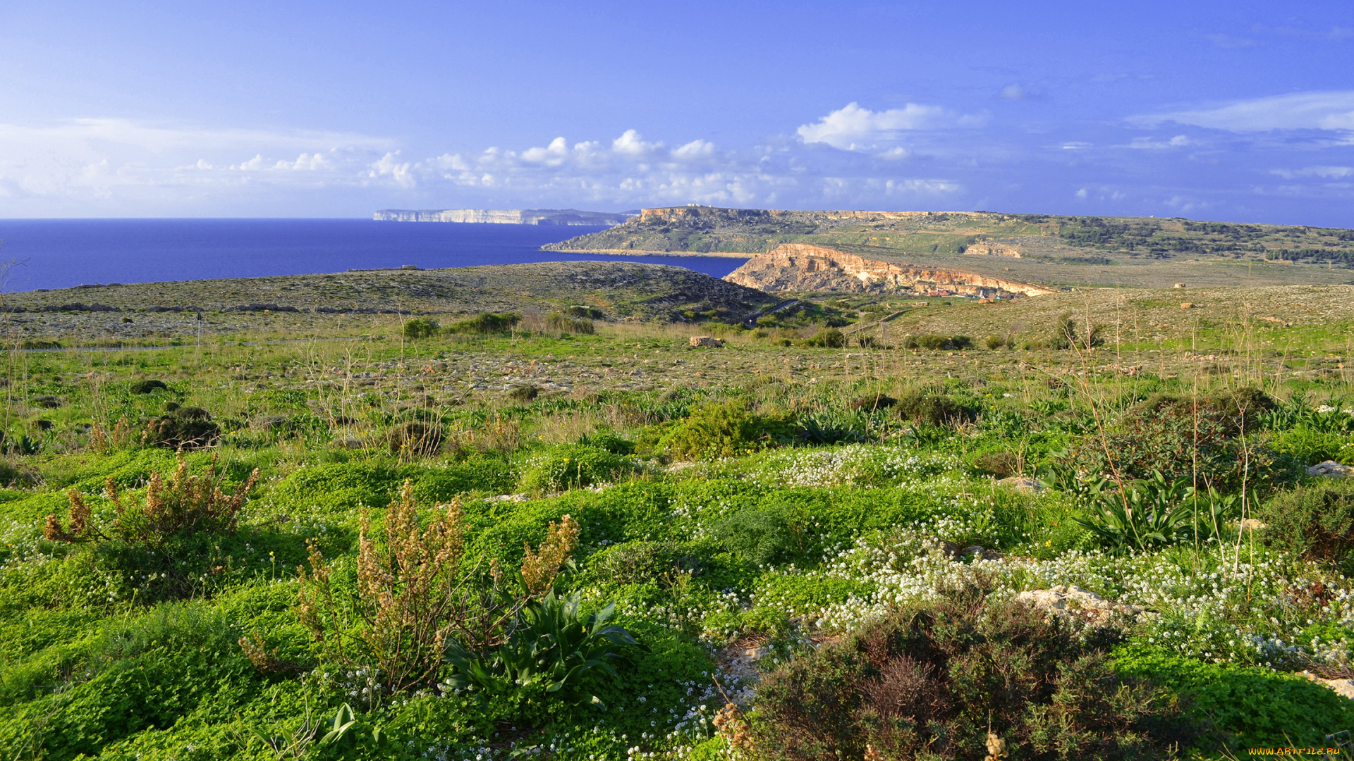 379, ebbieg&, 295, malta, природа, побережье, пейзаж