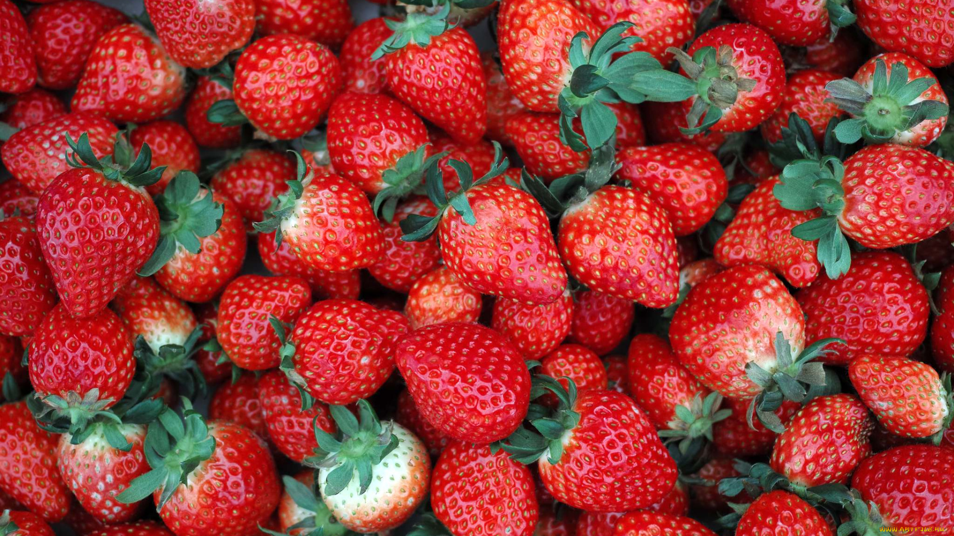 еда, клубника, земляника, ягоды, много