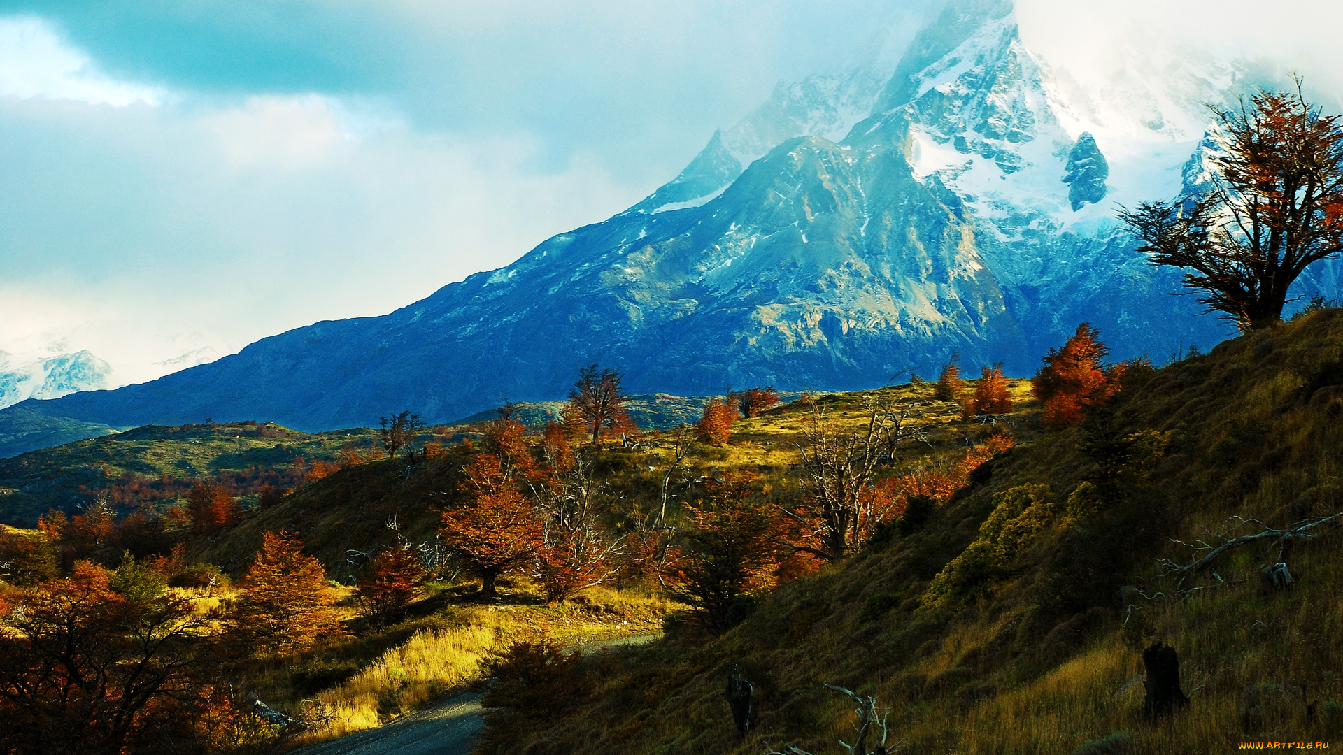 природа, горы, деревья, трава, долина