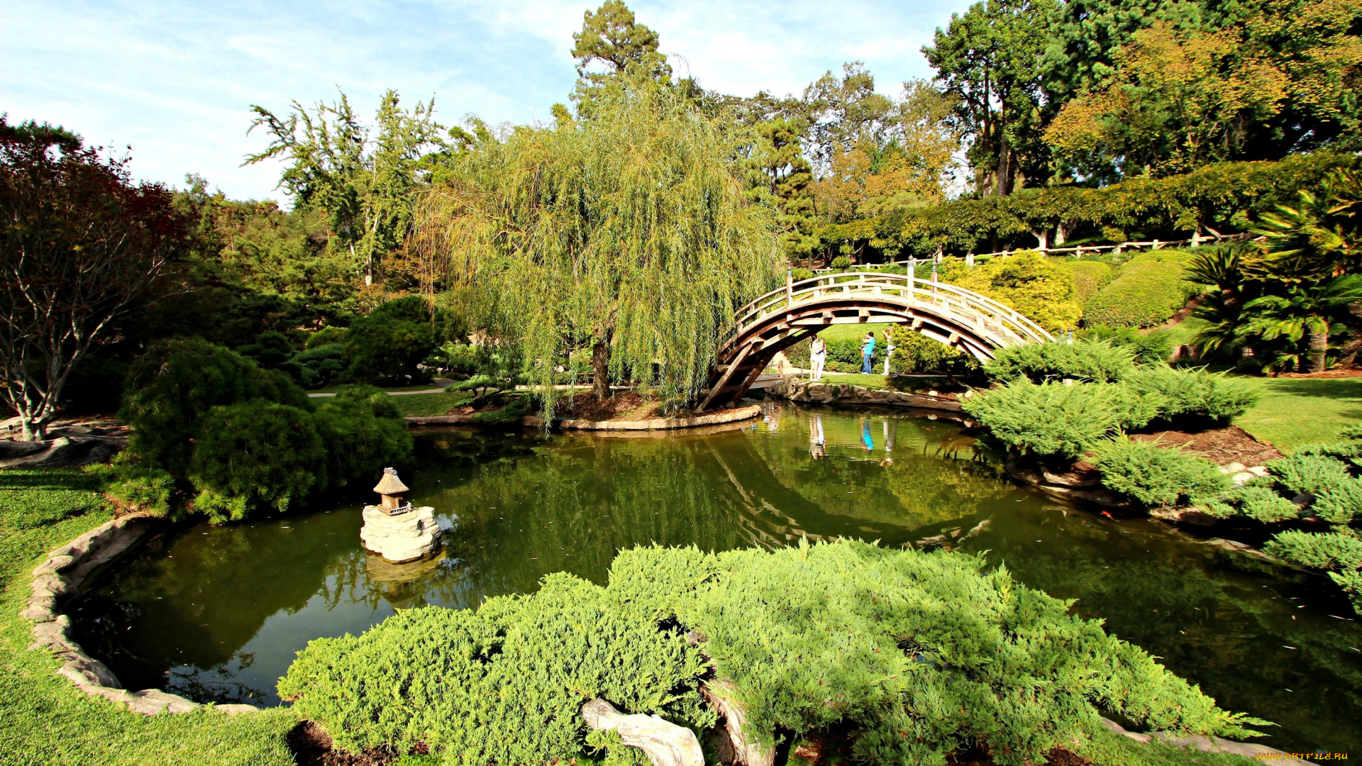 природа, парк, японский, сад