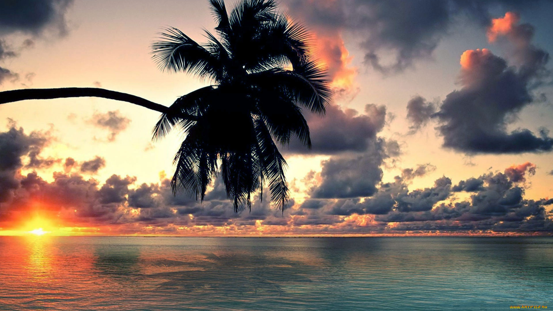 природа, восходы, закаты, океан, тропики, облака, солнце, пальма, горизонт