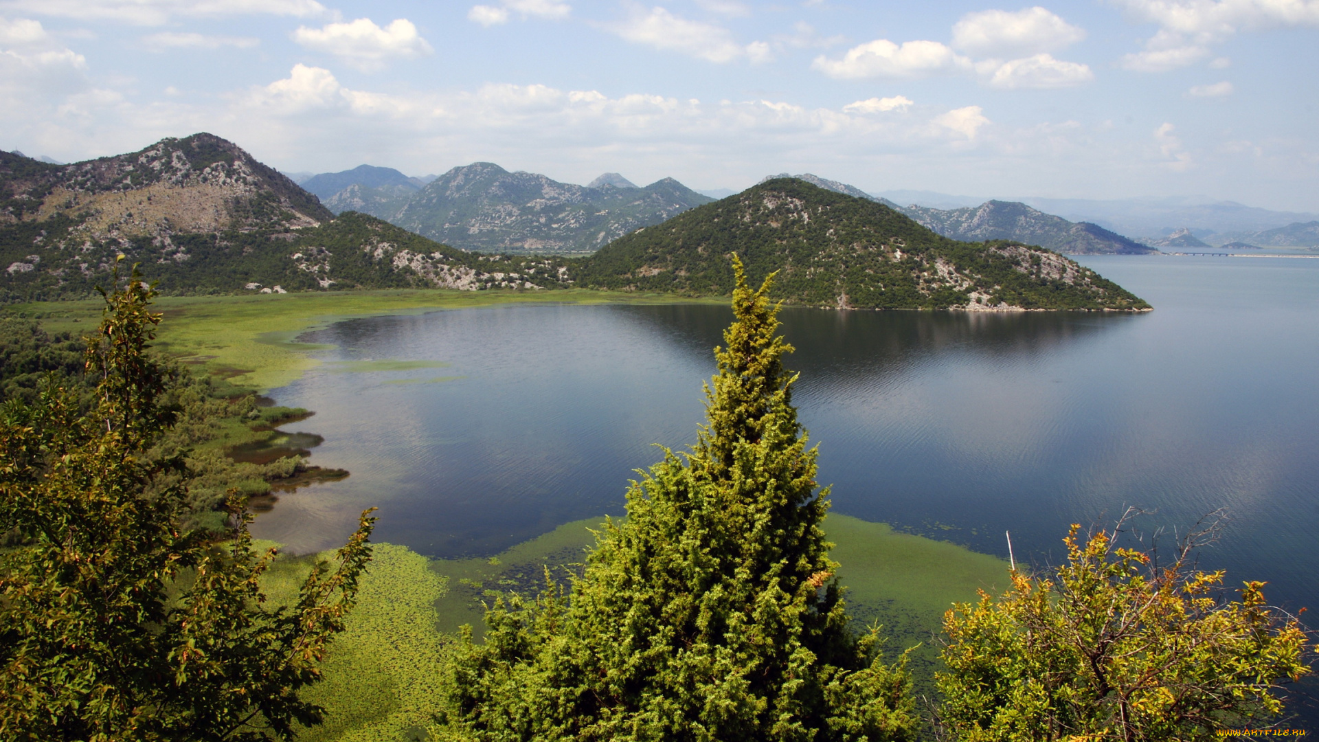skadarsko, jezero, Черногория, природа, реки, озера, озеро