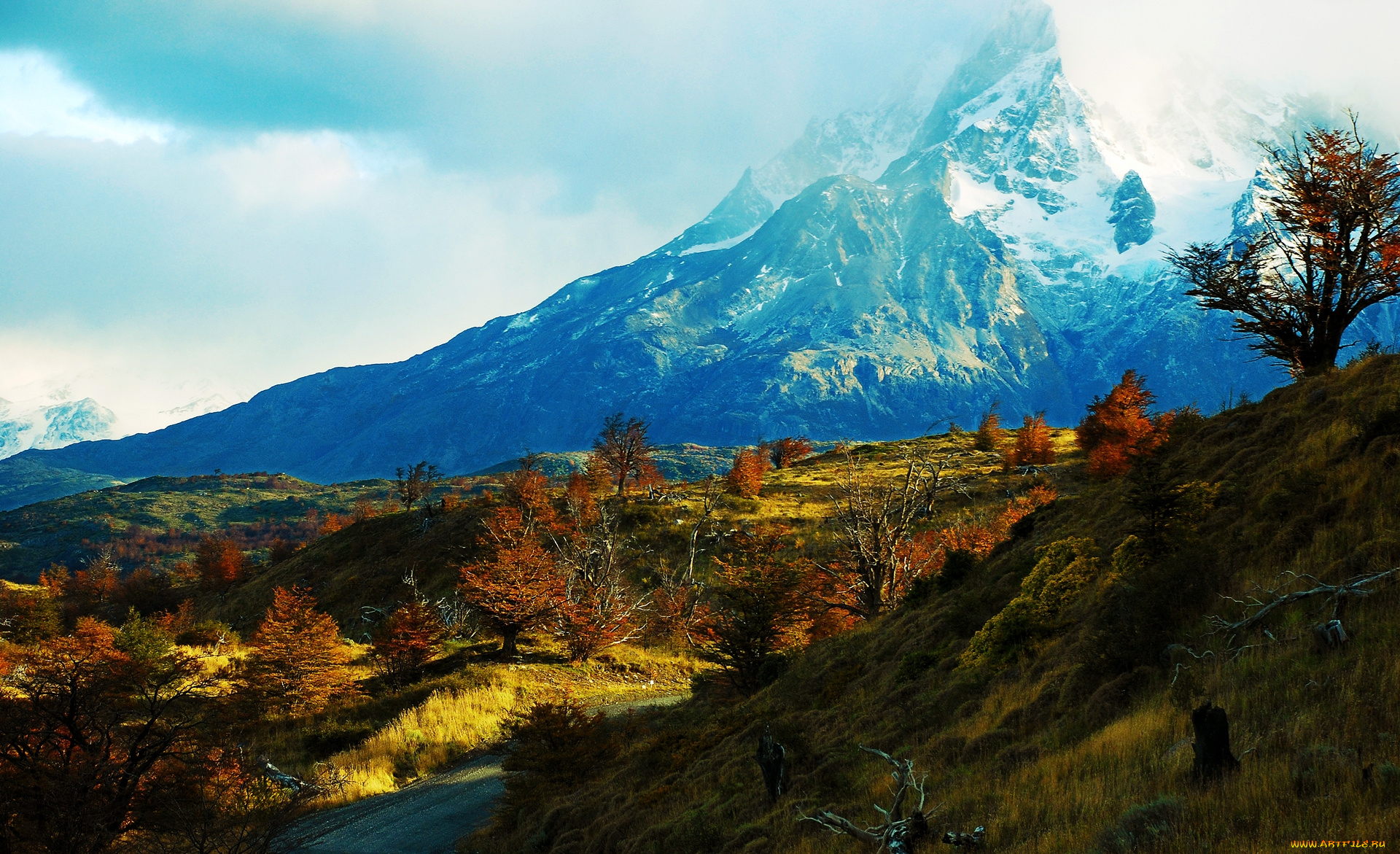 природа, горы, деревья, трава, долина