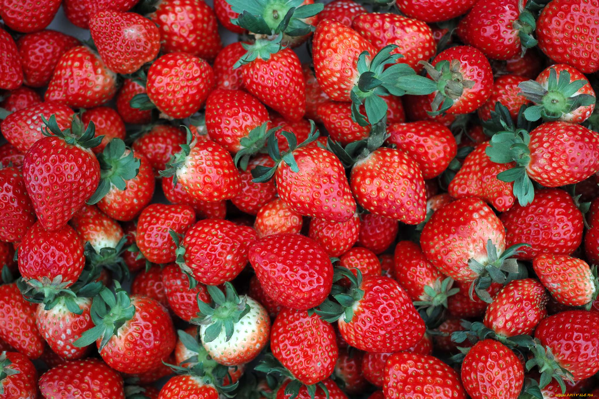 еда, клубника, земляника, ягоды, много