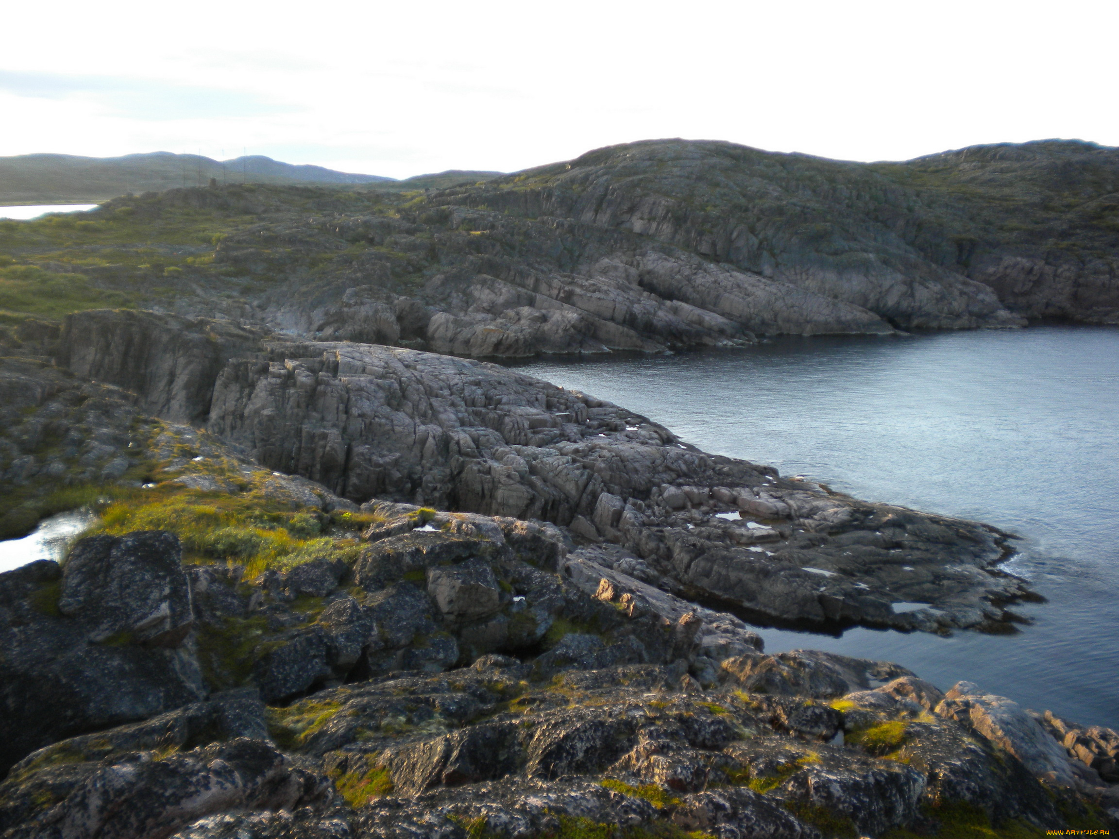 побережье, баренцева, моря, природа, море