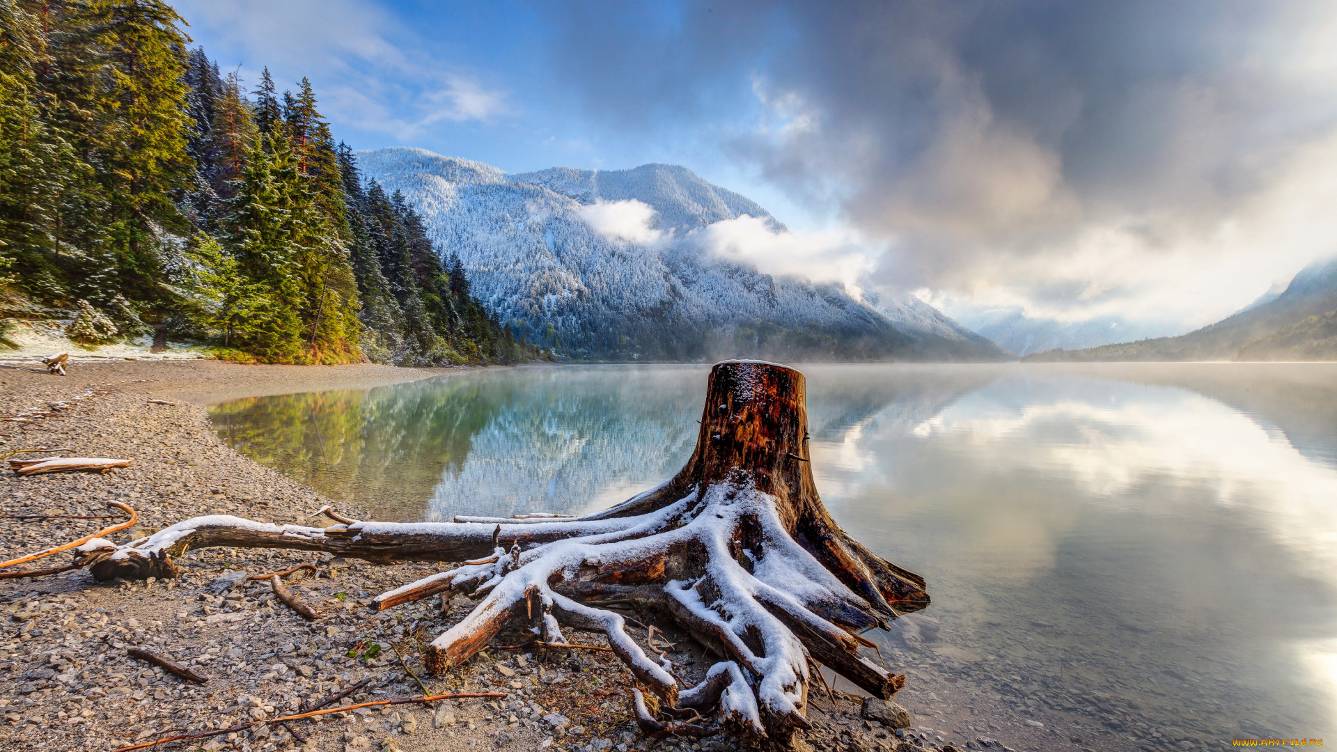 австрия, тироль, природа, побережье, ели, горы, пень, озеро, тироль, австрия