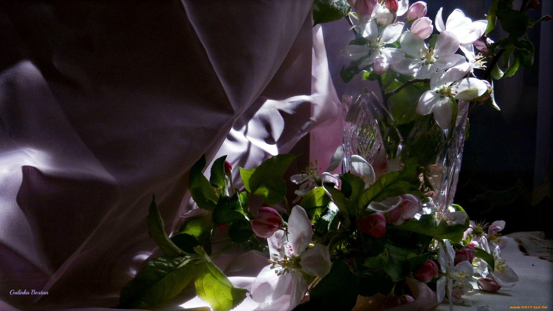 цветы, цветущие, деревья, , , кустарники, тюль, натюрморт