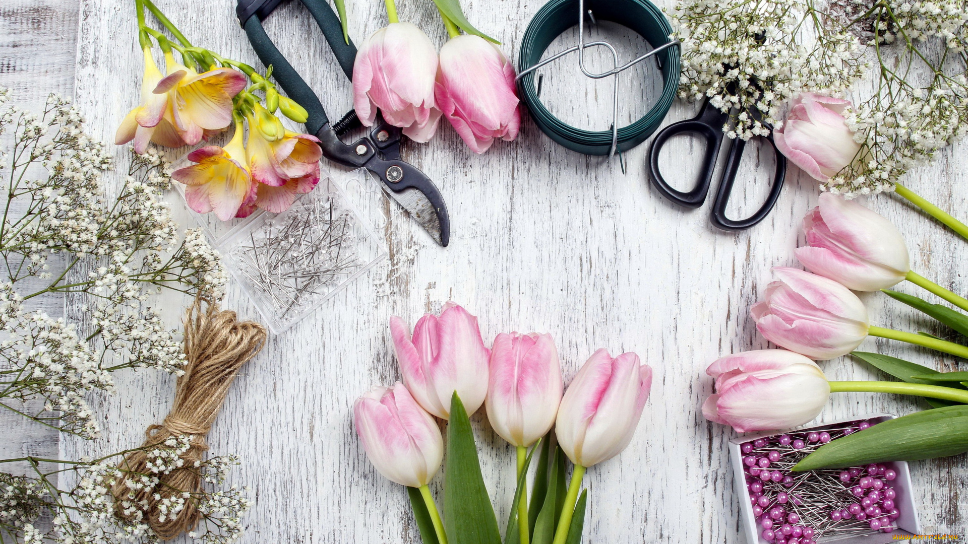 цветы, разные, вместе, фрезии, тюльпаны, гипсофила