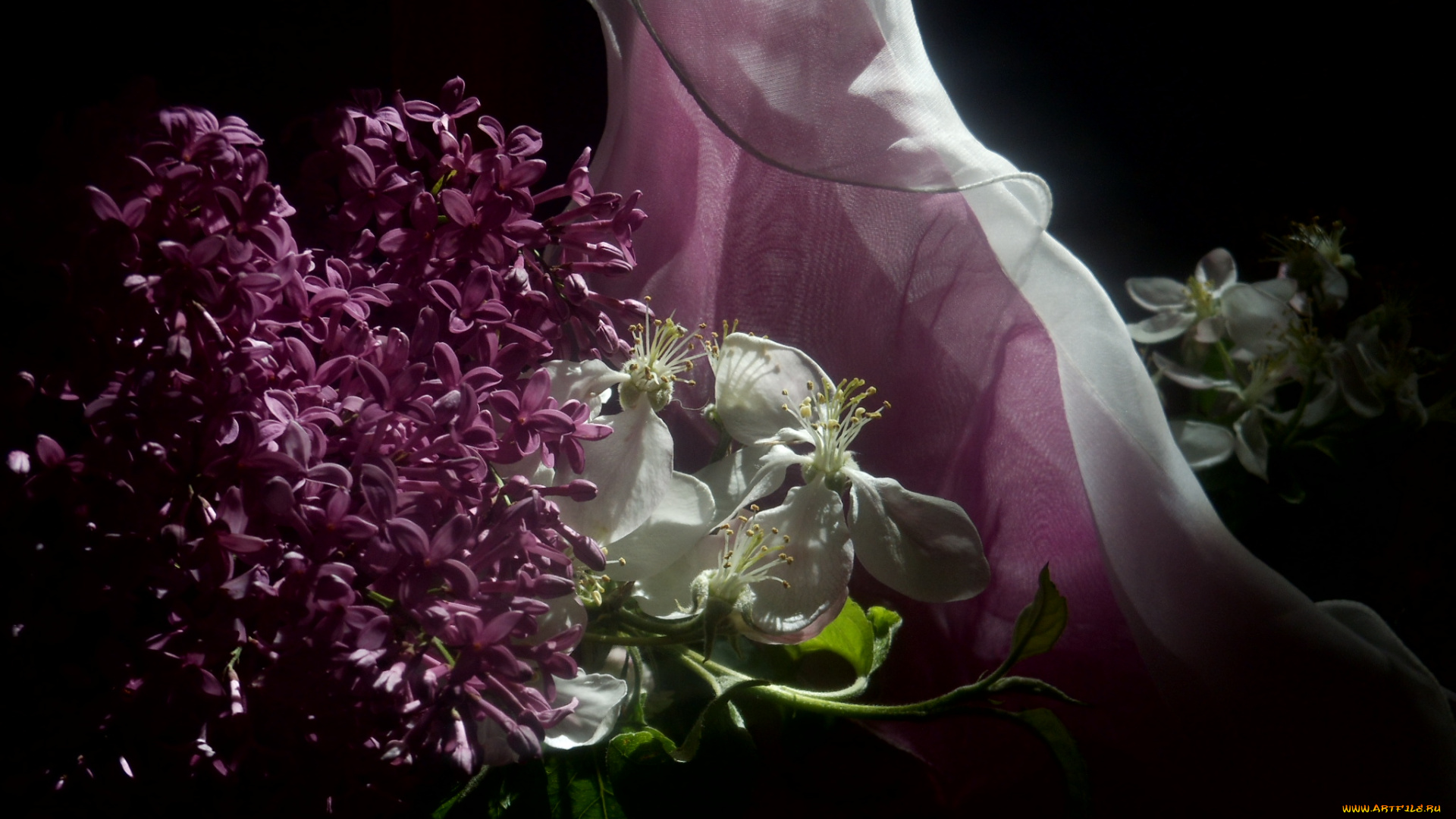 цветы, разные, вместе, яблоня, сирень, тюль