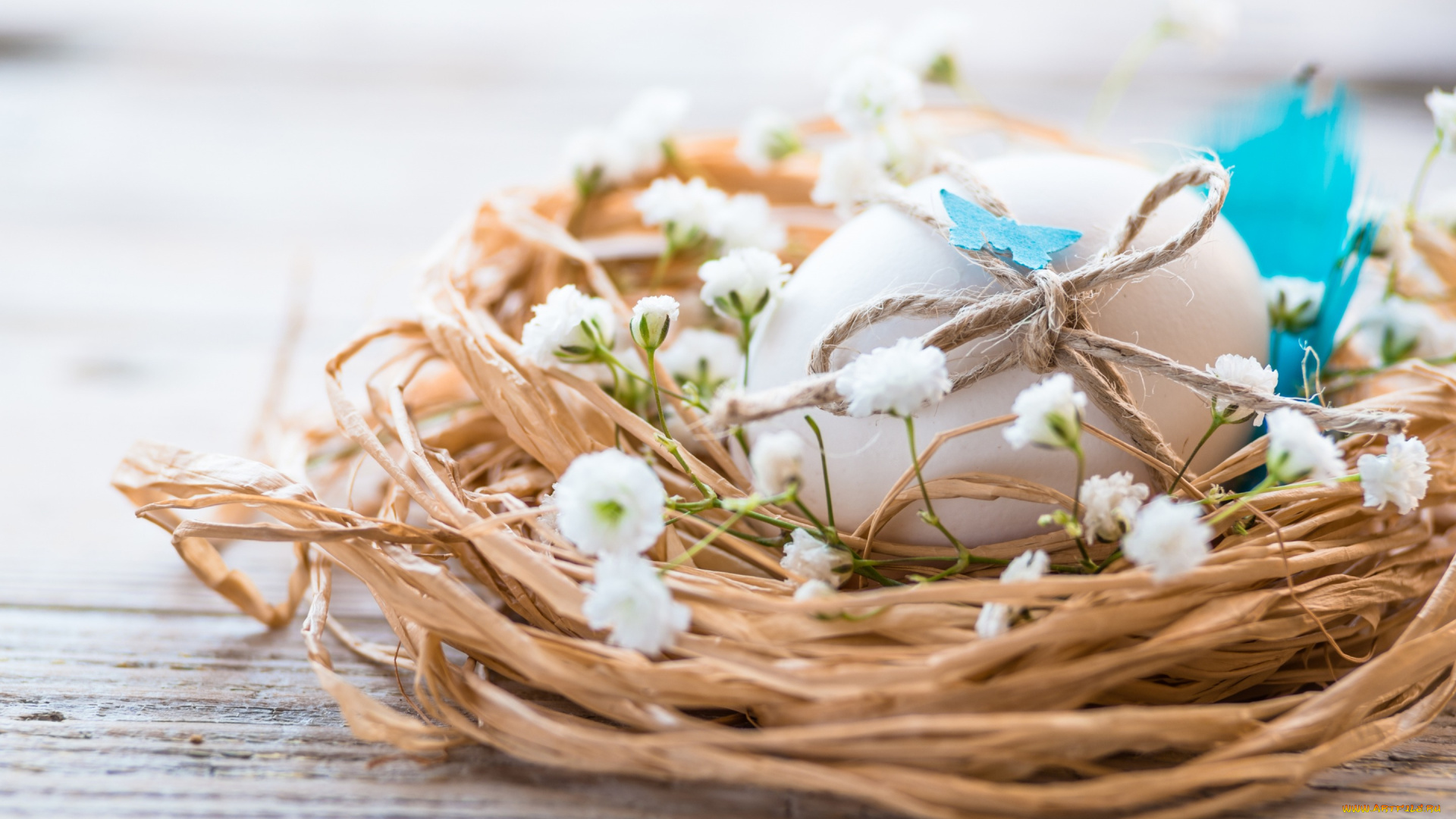 праздничные, пасха, easter, eggs, spring, flowers, яйца, гнездо, цветы