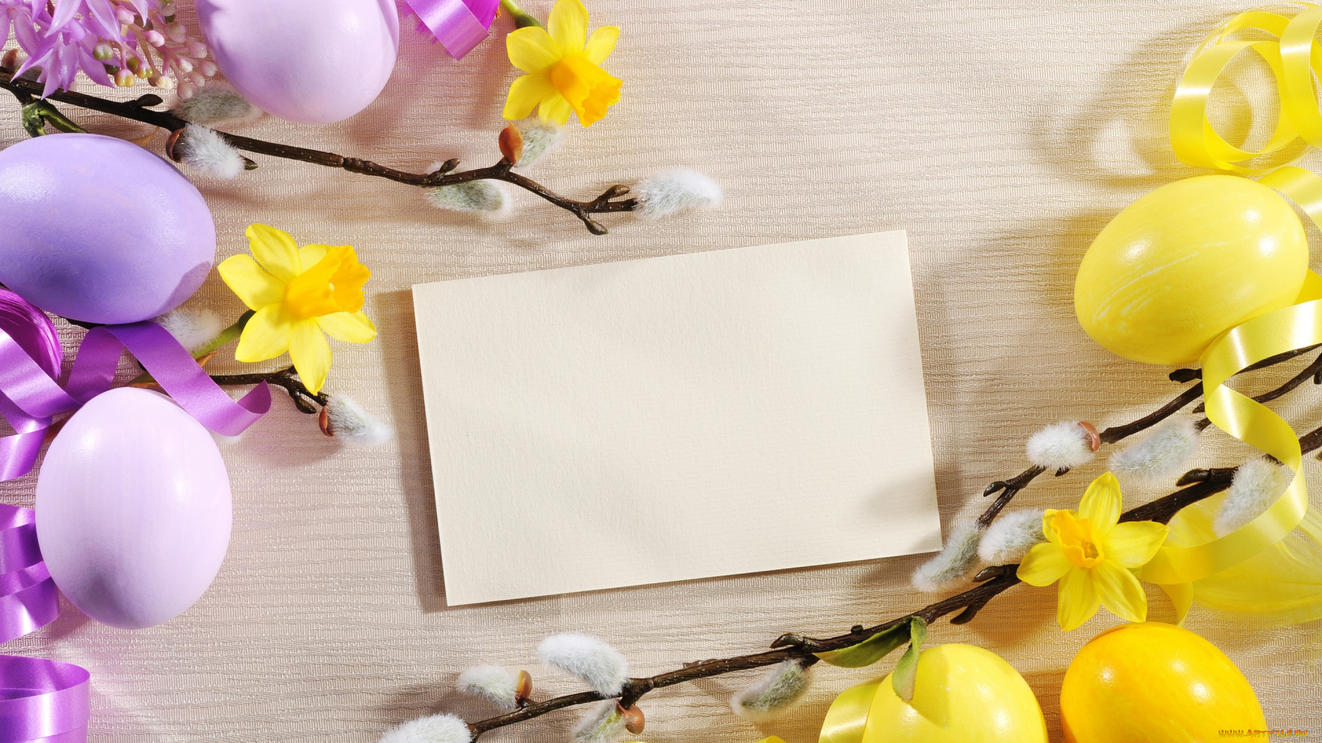 праздничные, пасха, flowers, eggs, easter, нарциссы, цветы, яйца, spring, верба