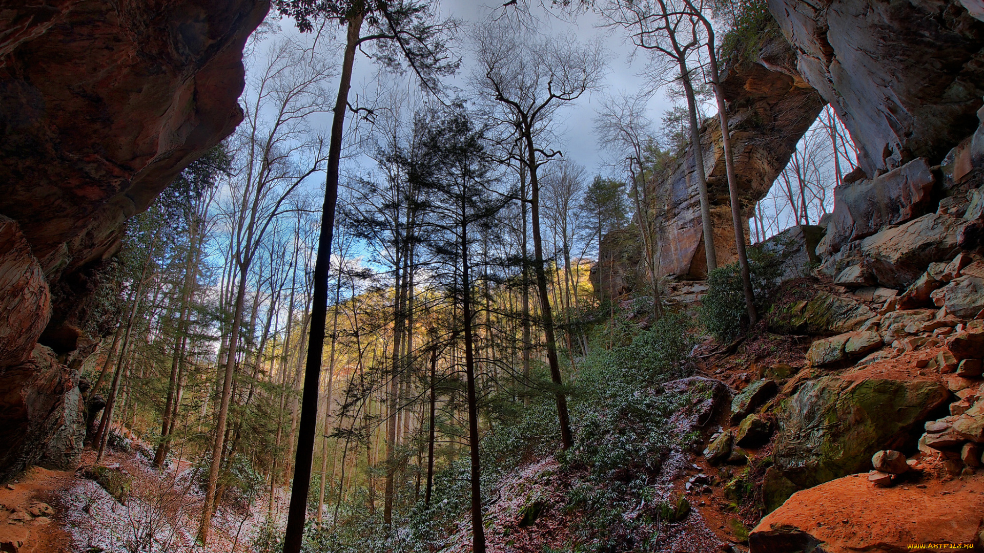 природа, горы, деревья, теснина