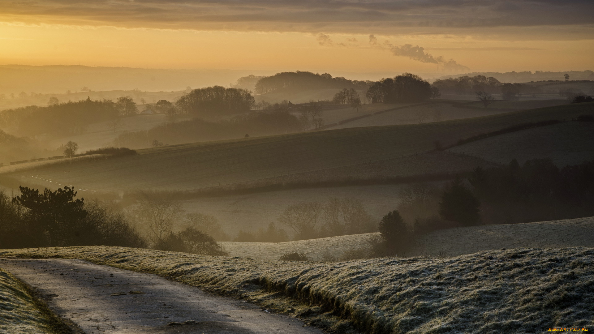 природа, пейзажи, деревья, холмы, туман, дорога, рассвет