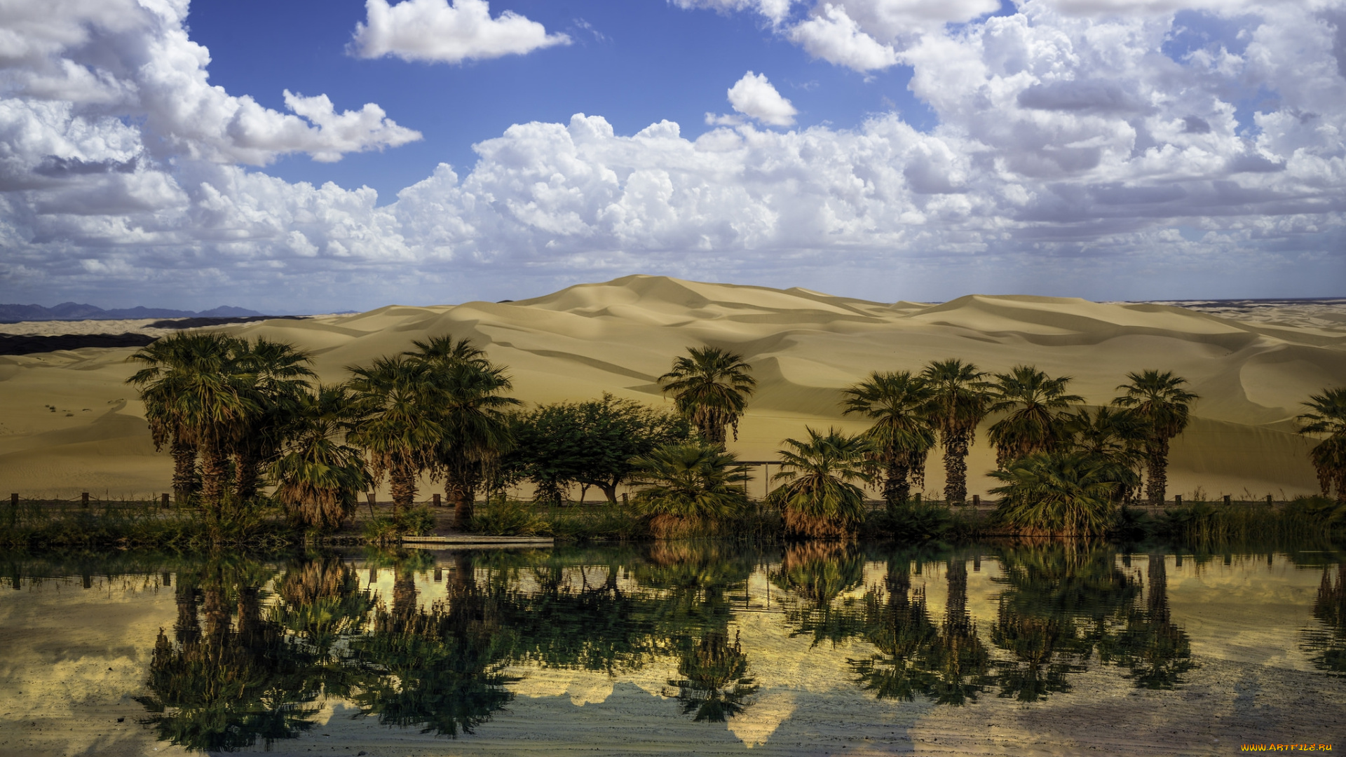 природа, пустыни, оазис
