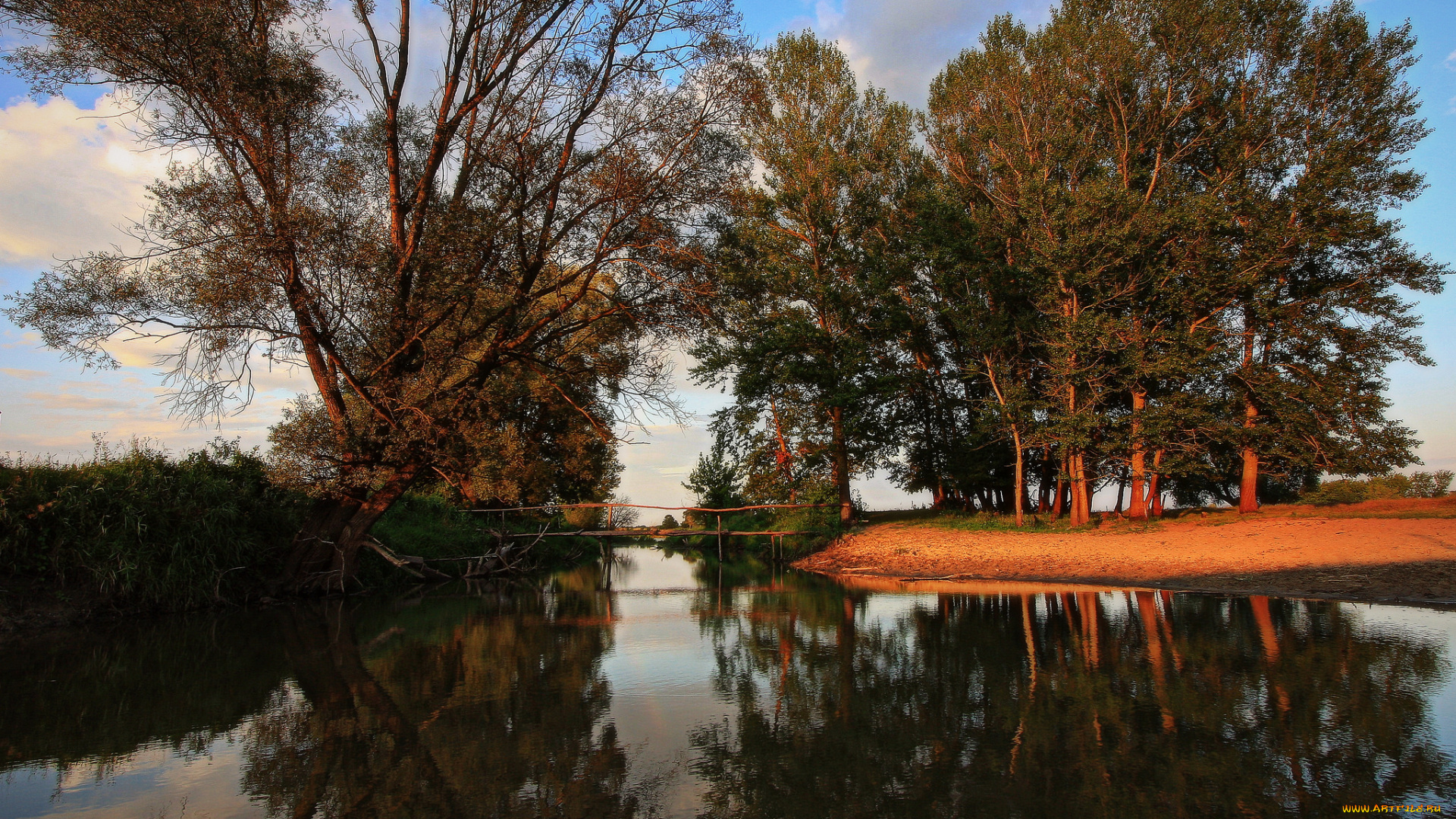 природа, реки, озера, деревья, река