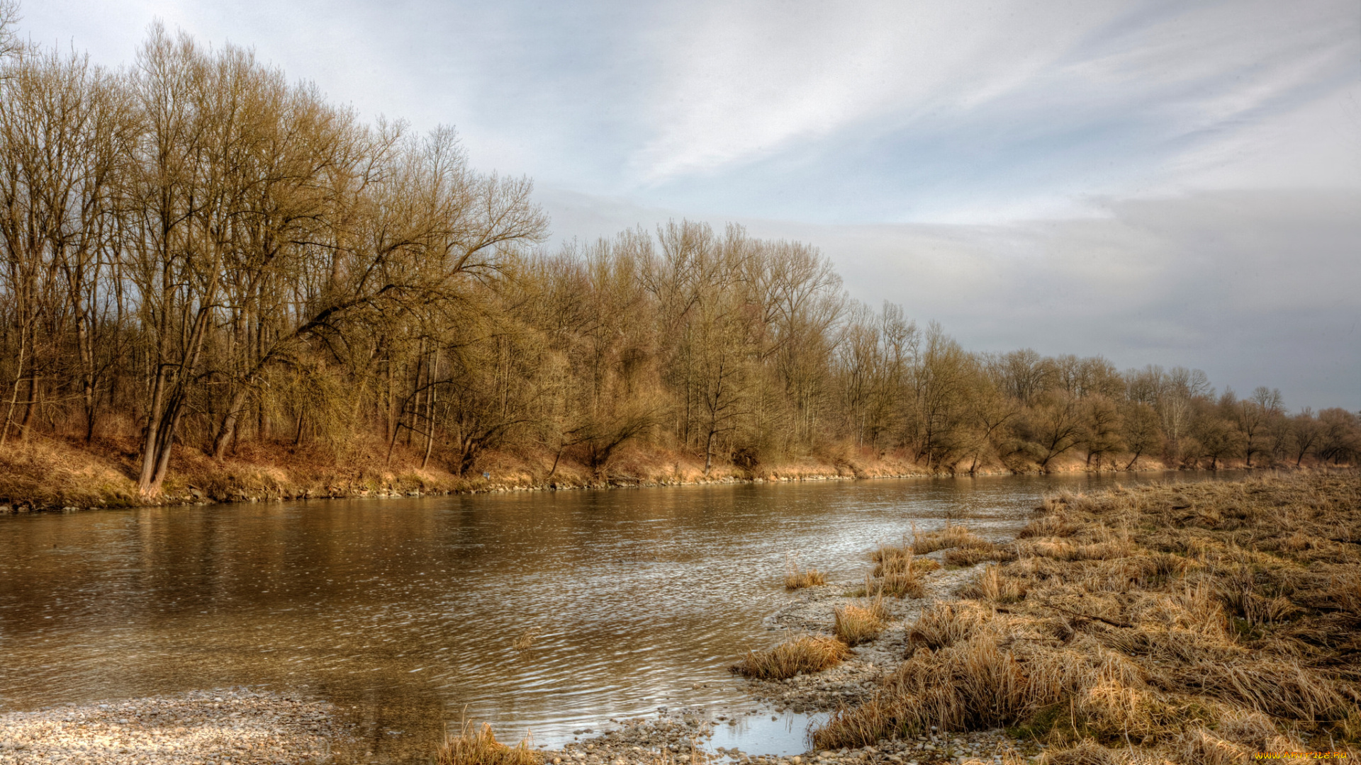 природа, реки, озера, река, лес