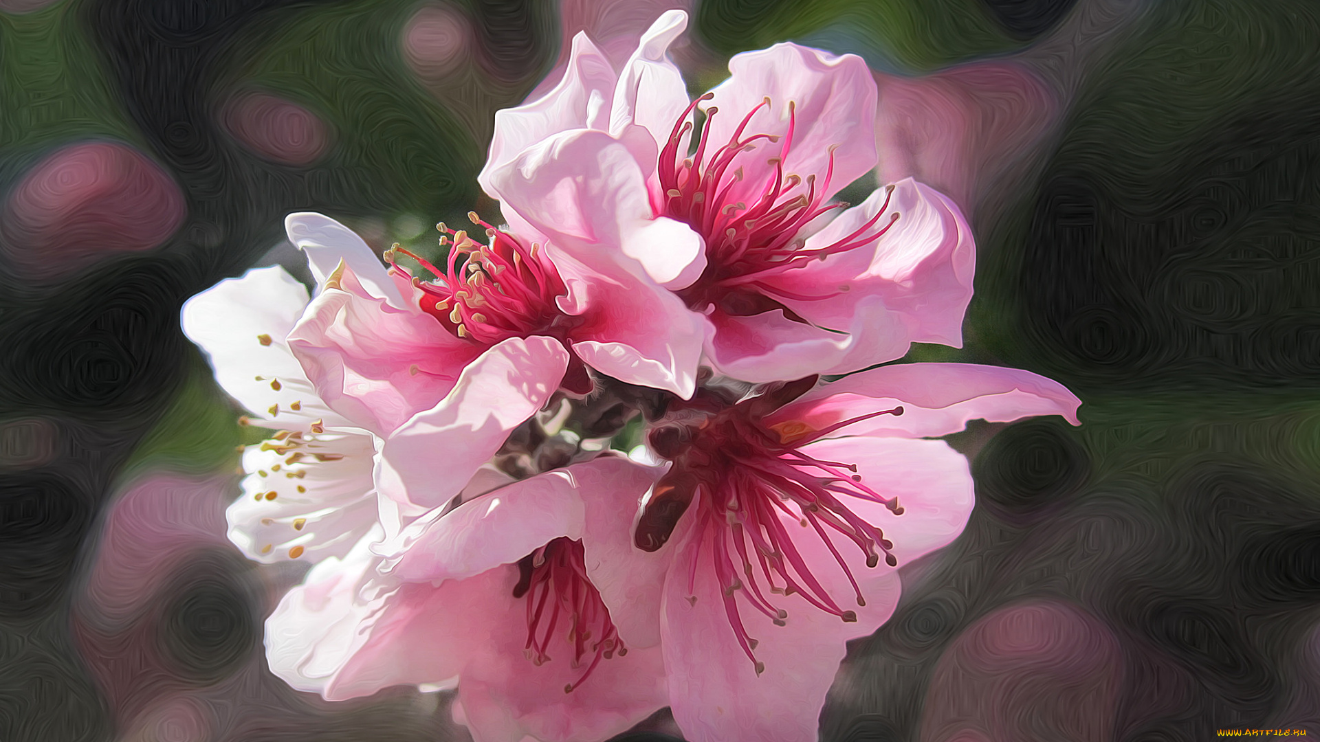 разное, компьютерный, дизайн, штрих, линии, макро, цветы, сад, весна