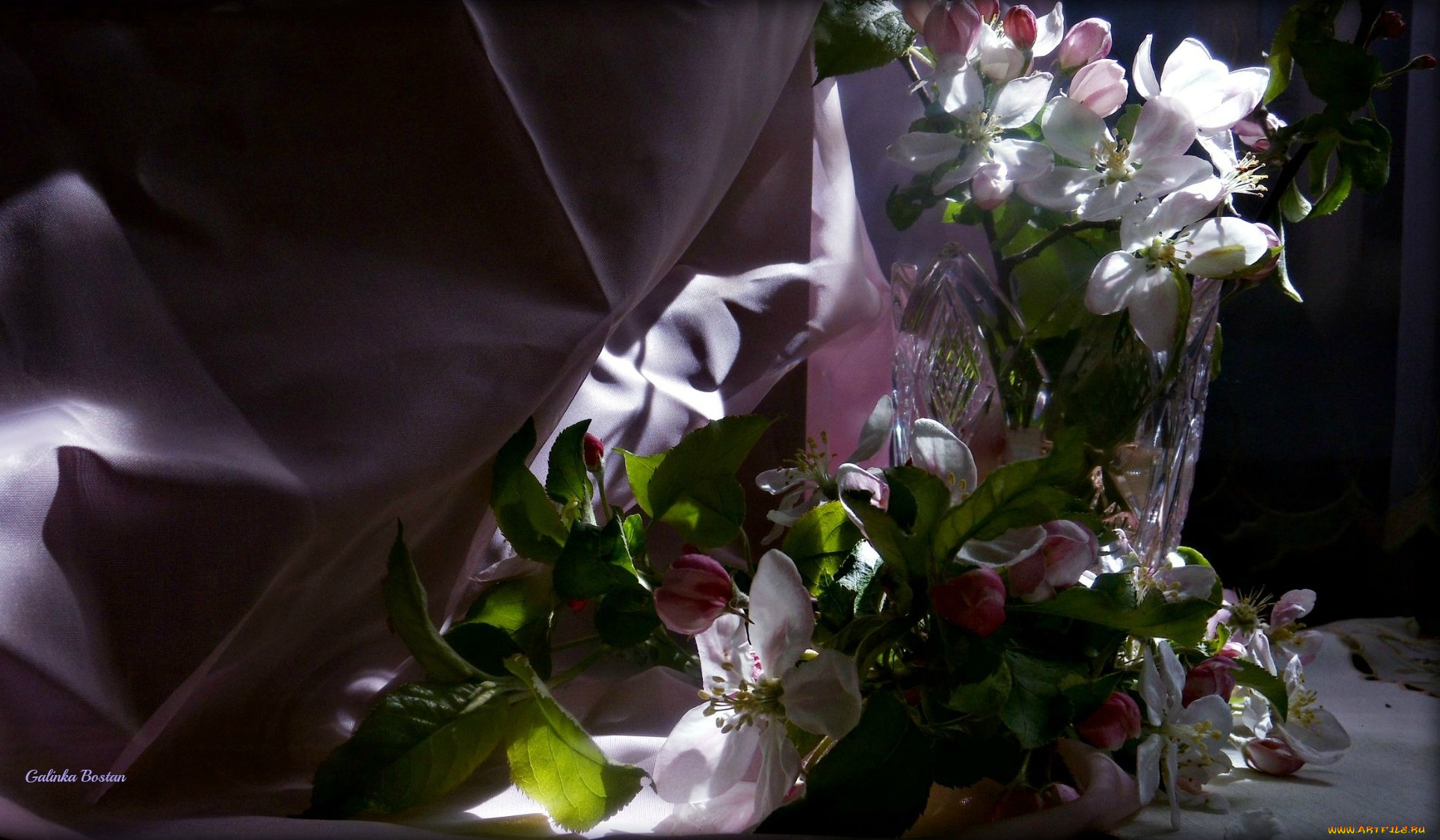 цветы, цветущие, деревья, , , кустарники, тюль, натюрморт