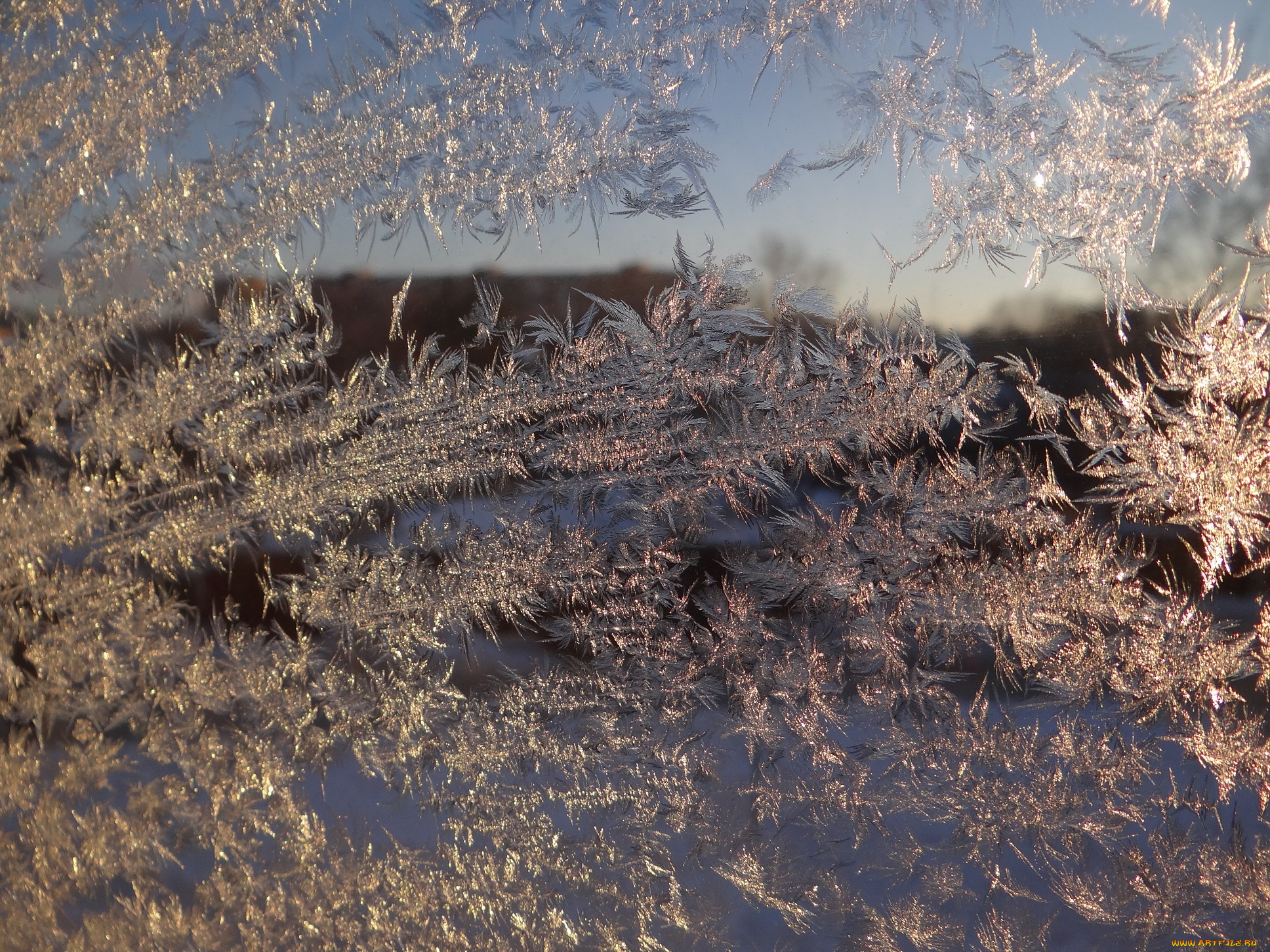 природа, макро, стекло, зима, иней