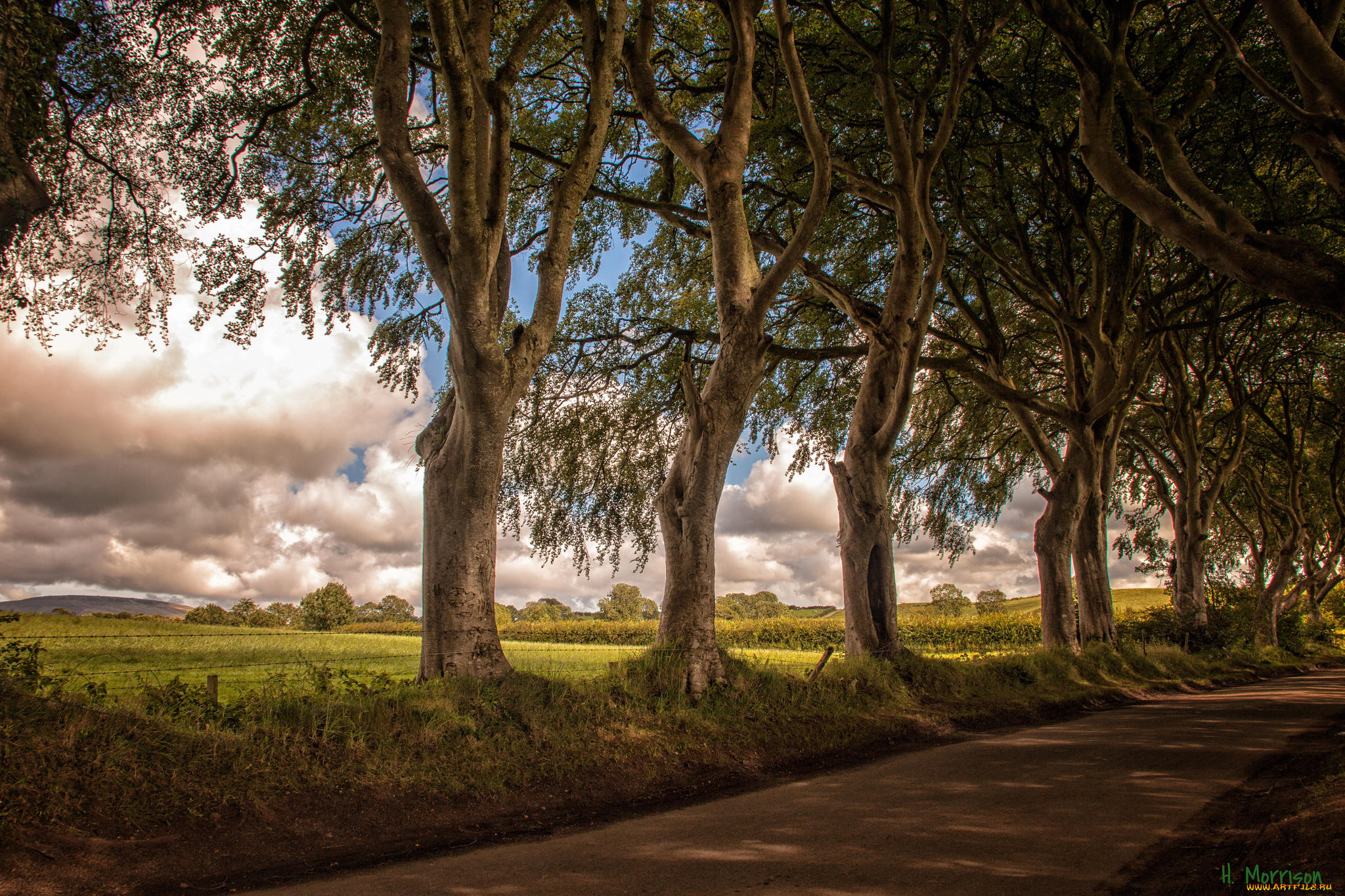 природа, дороги, дорога, деревья, поле, небо, облака