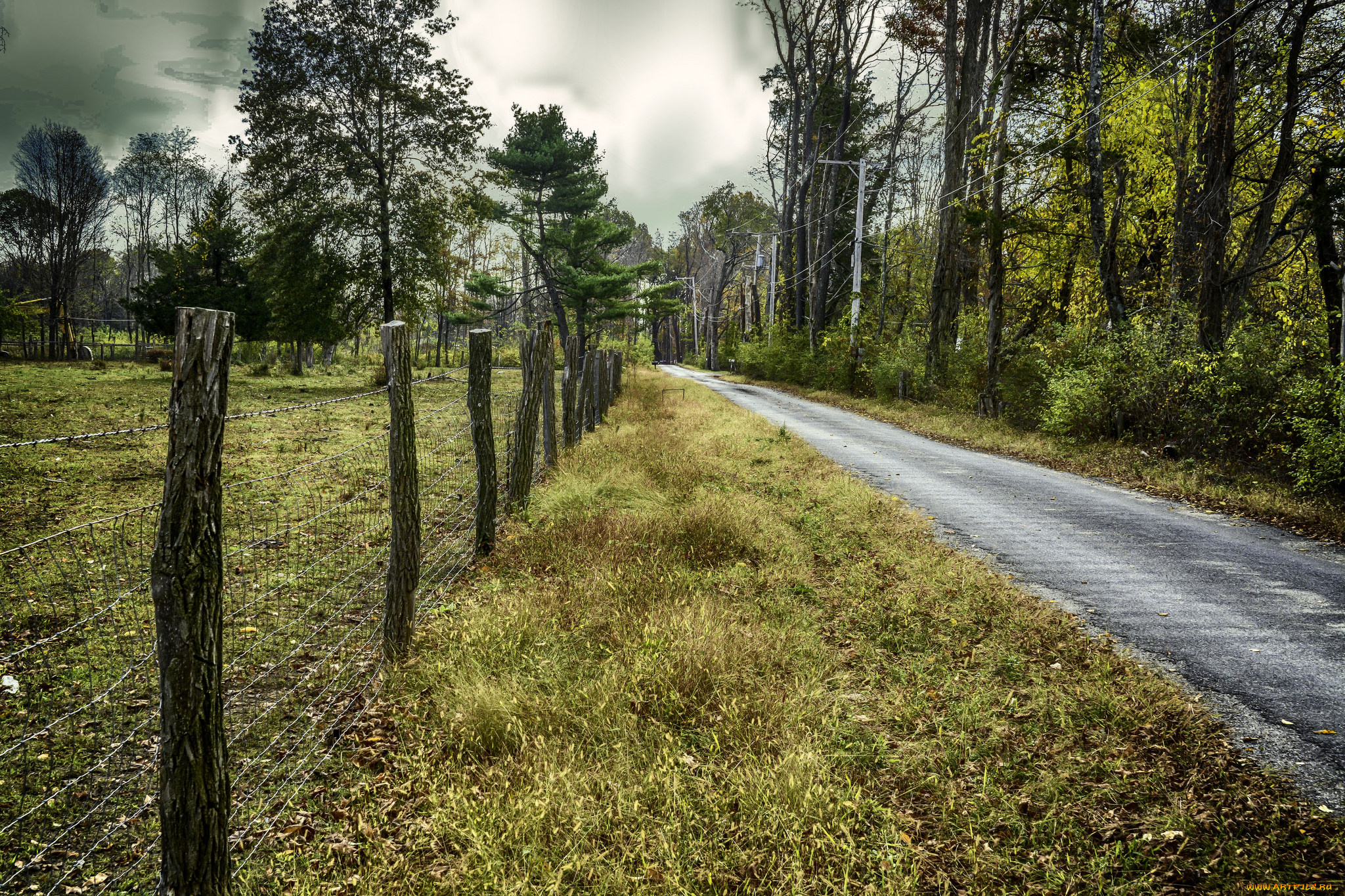 природа, дороги, лес, шоссе, изгородь