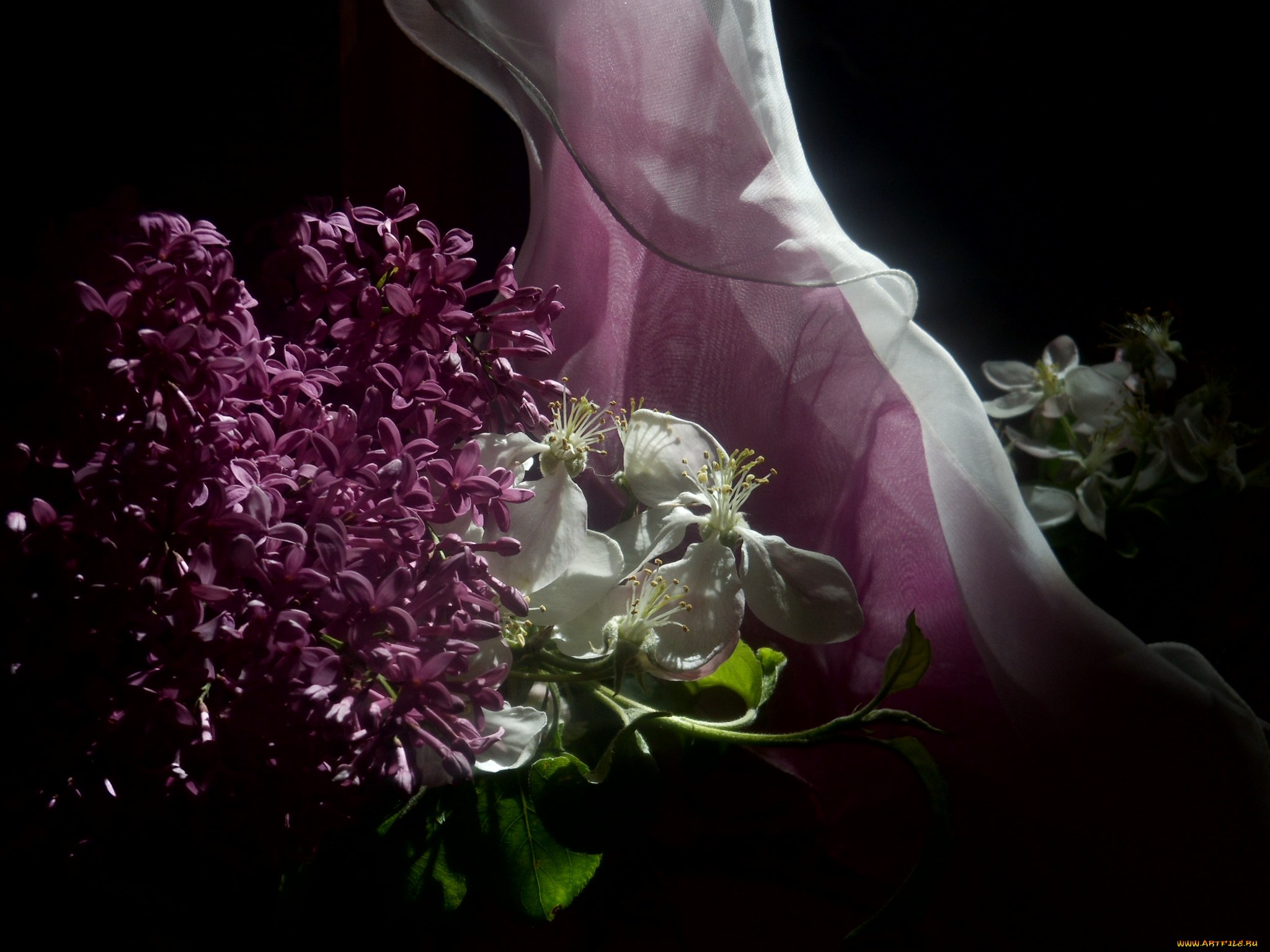 цветы, разные, вместе, яблоня, сирень, тюль